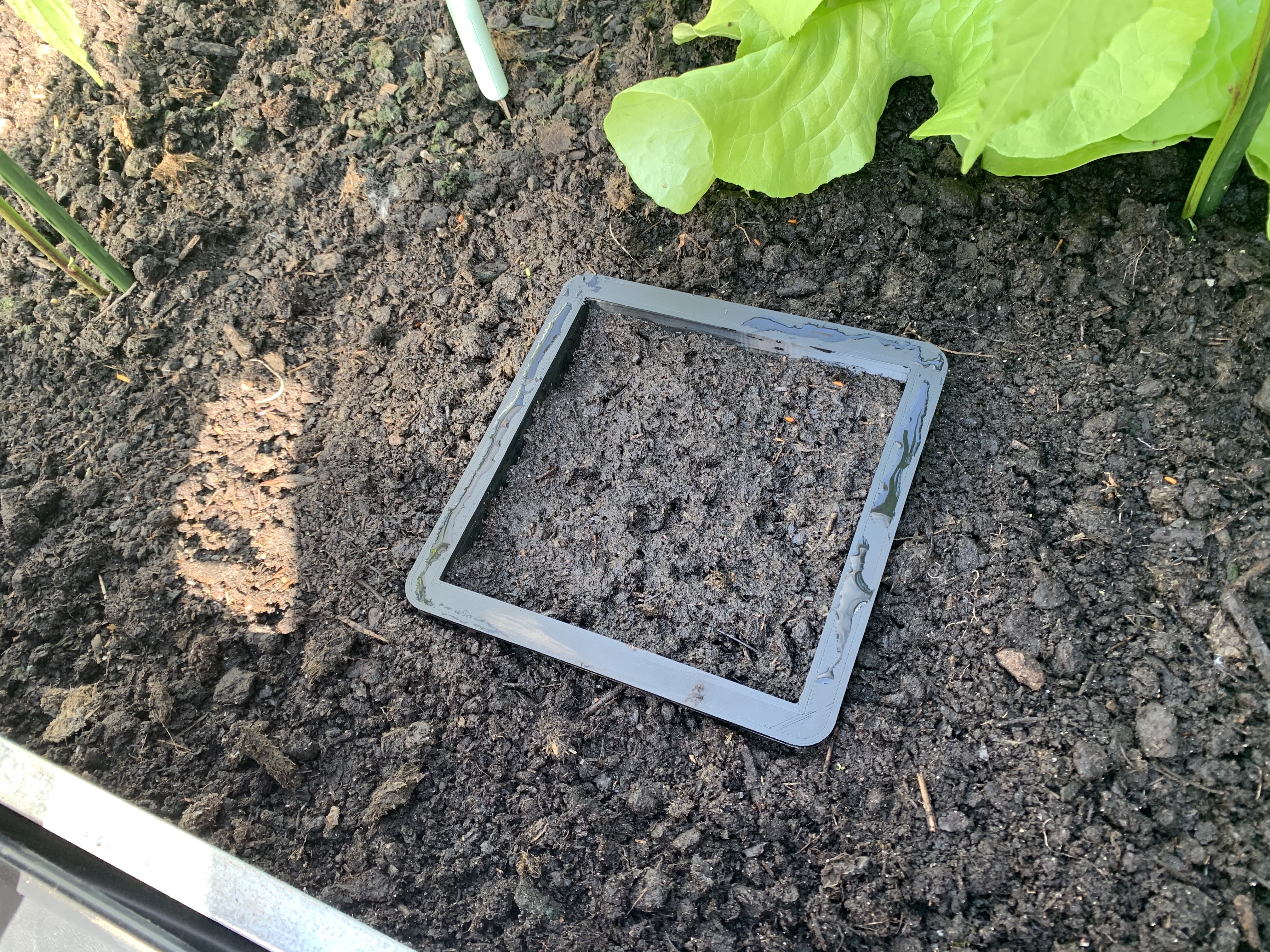 Seed Frame for Herbs / Kräuterbox - mini Kräuterbeet 15 cm x 15 cm