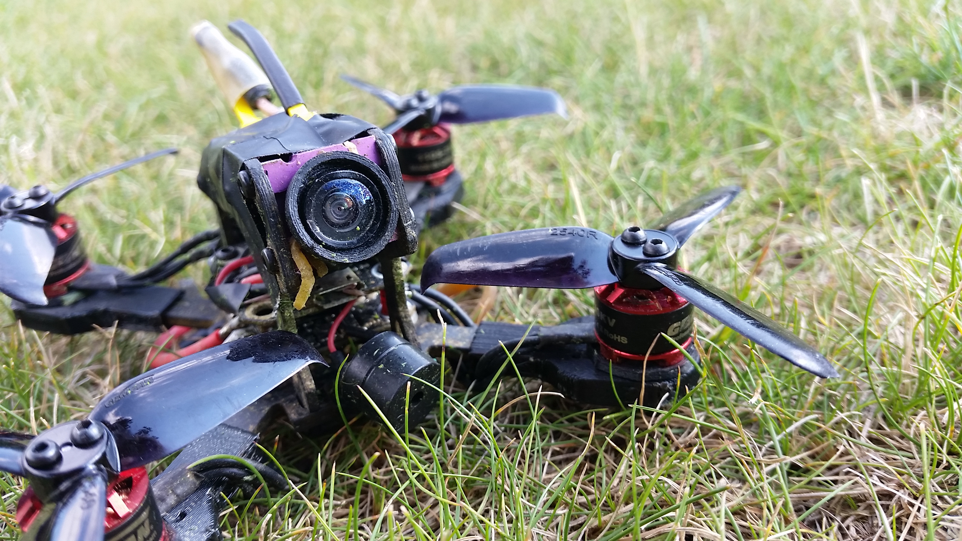 Lizard 95 - 2.5" Mod (Lizard 107)