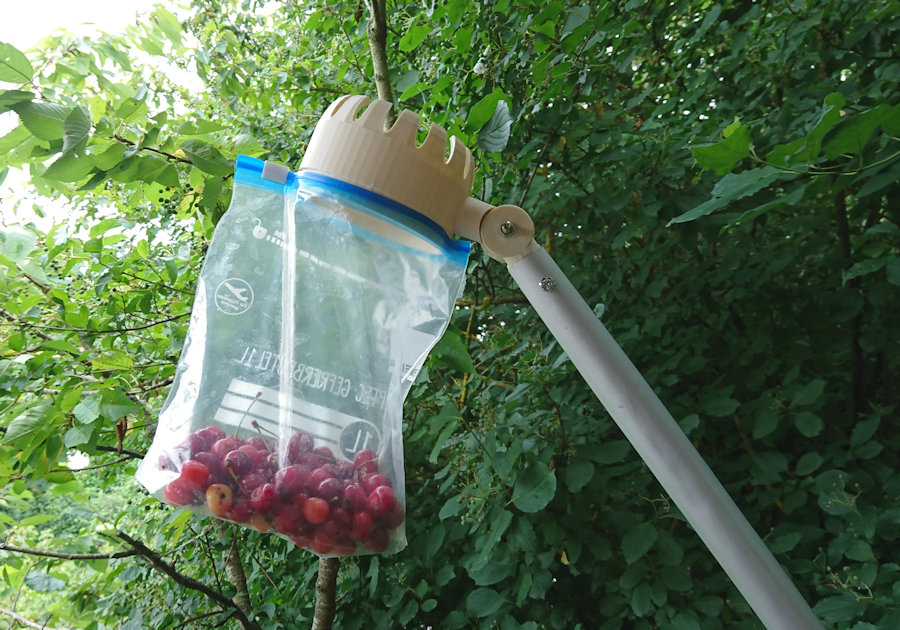Fruit Picker