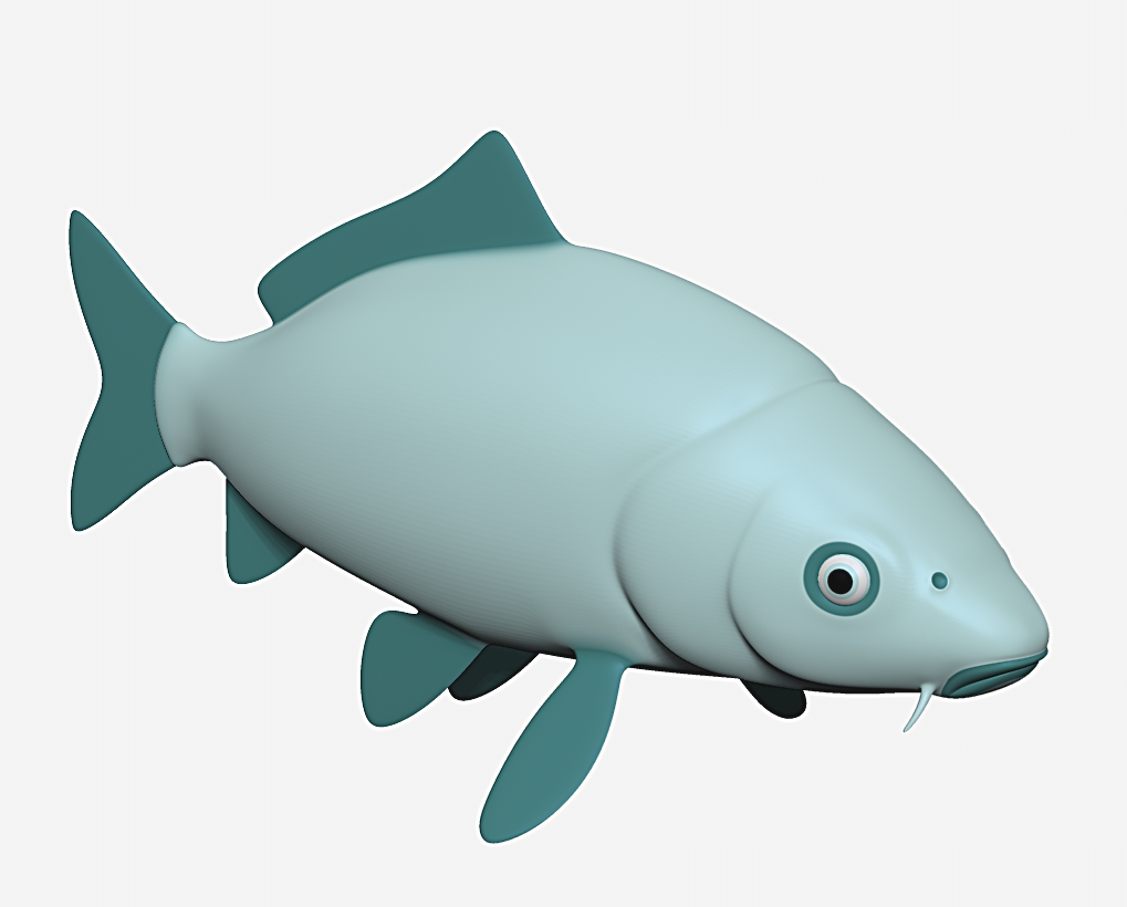 carp