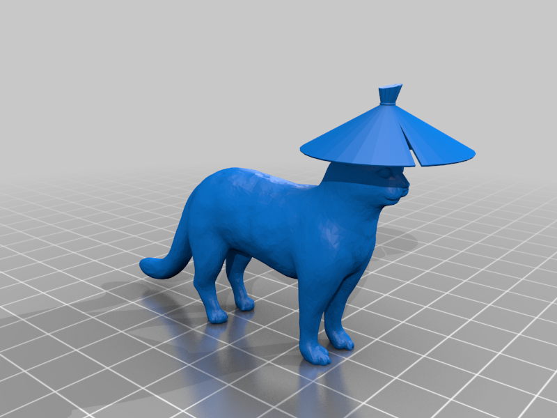 Asian cat