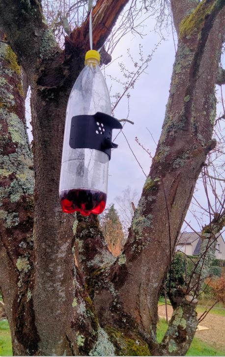 Asian Hornet selective Trap to install on a bottle