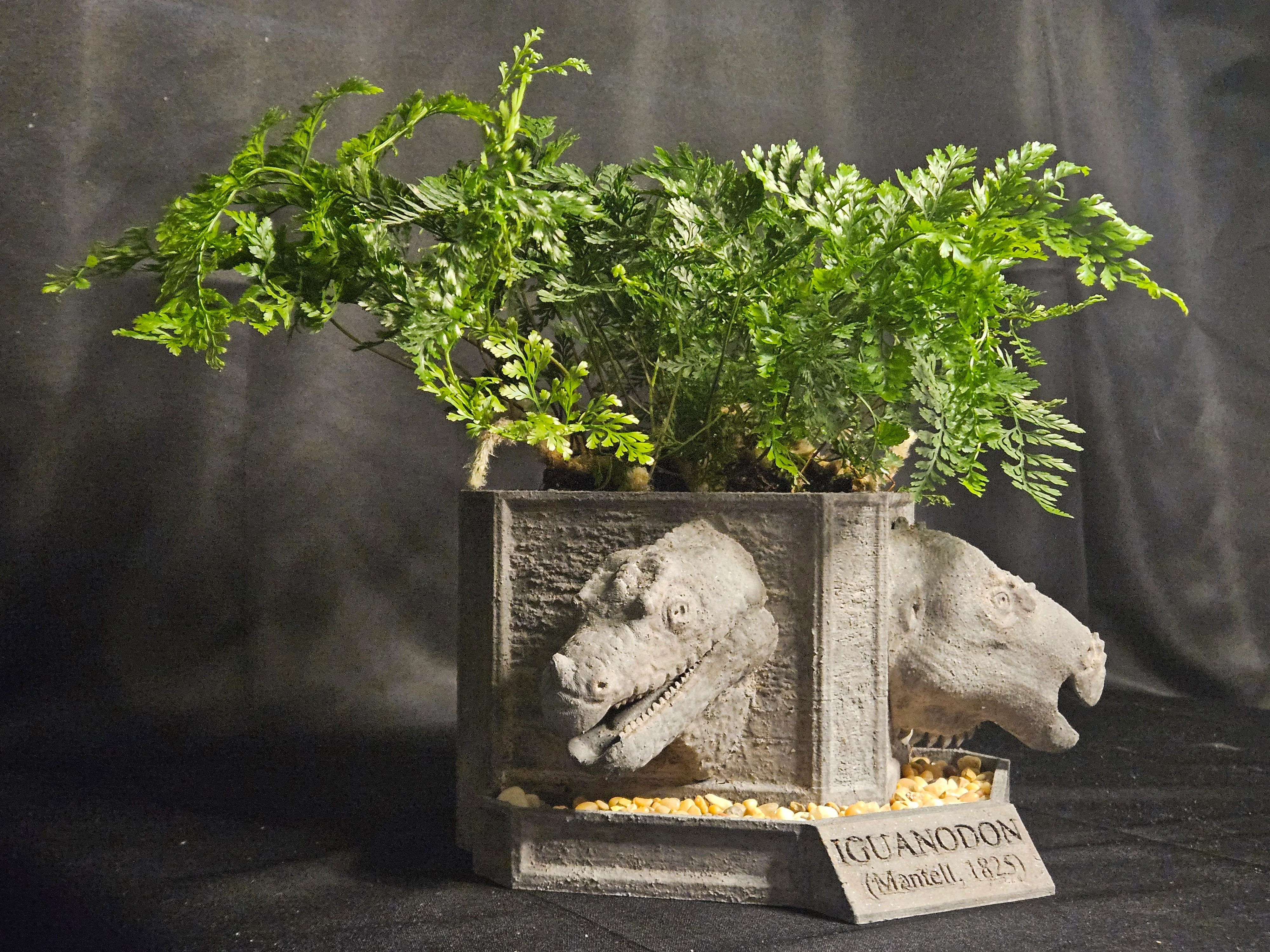 Iguanodon Planter