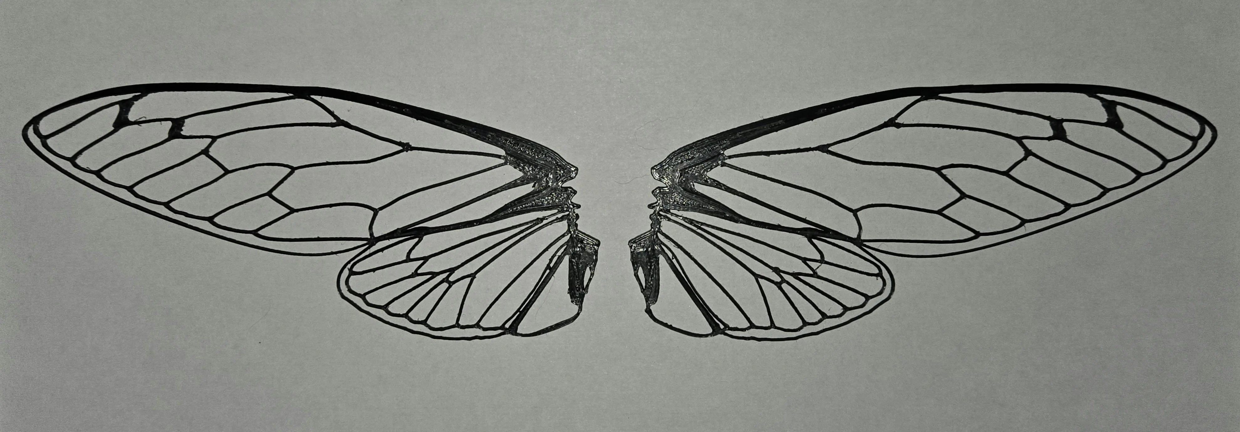 Realistic cicada wings
