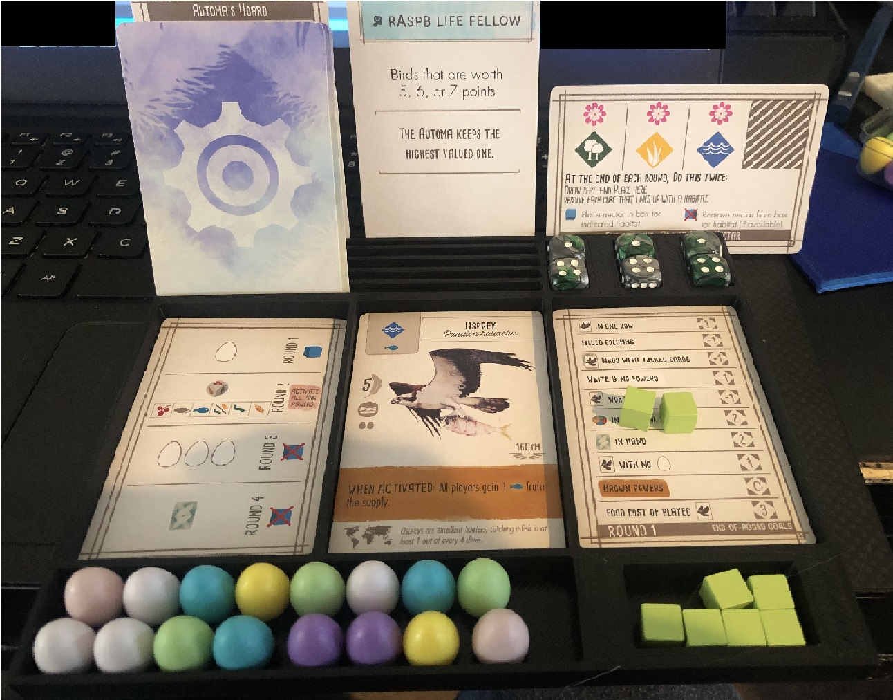 Wingspan Automa Board Organization