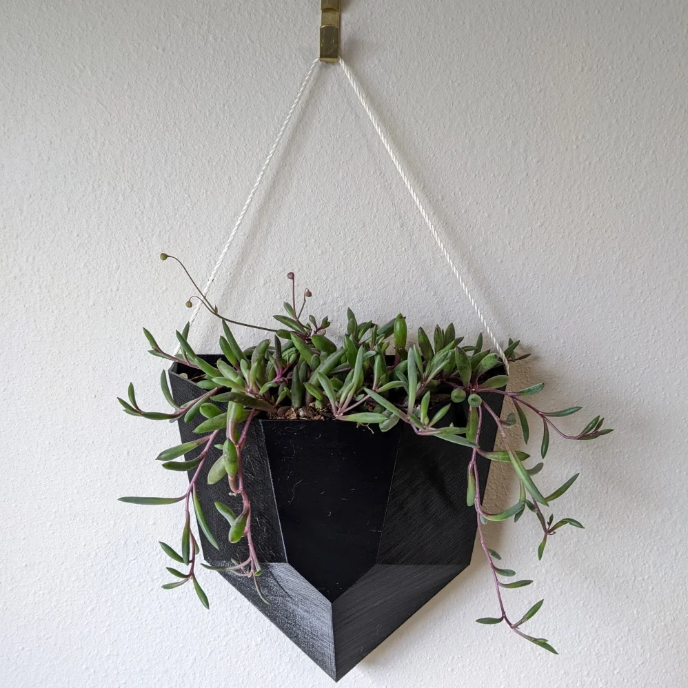 Wall Hanging Planter Crystal