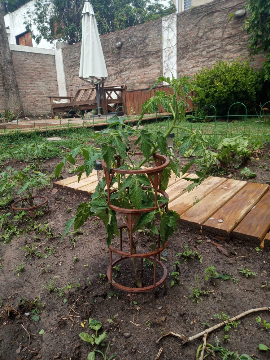 Tomato+Cage+[Stackable]-V2.5