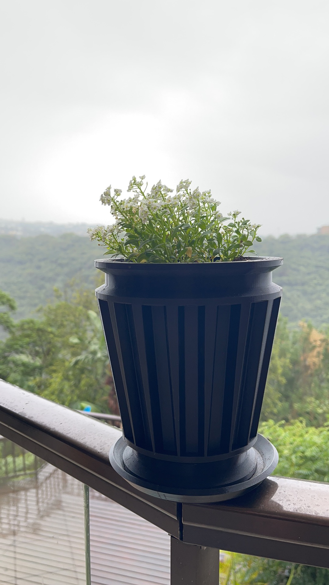 Pot plant and base