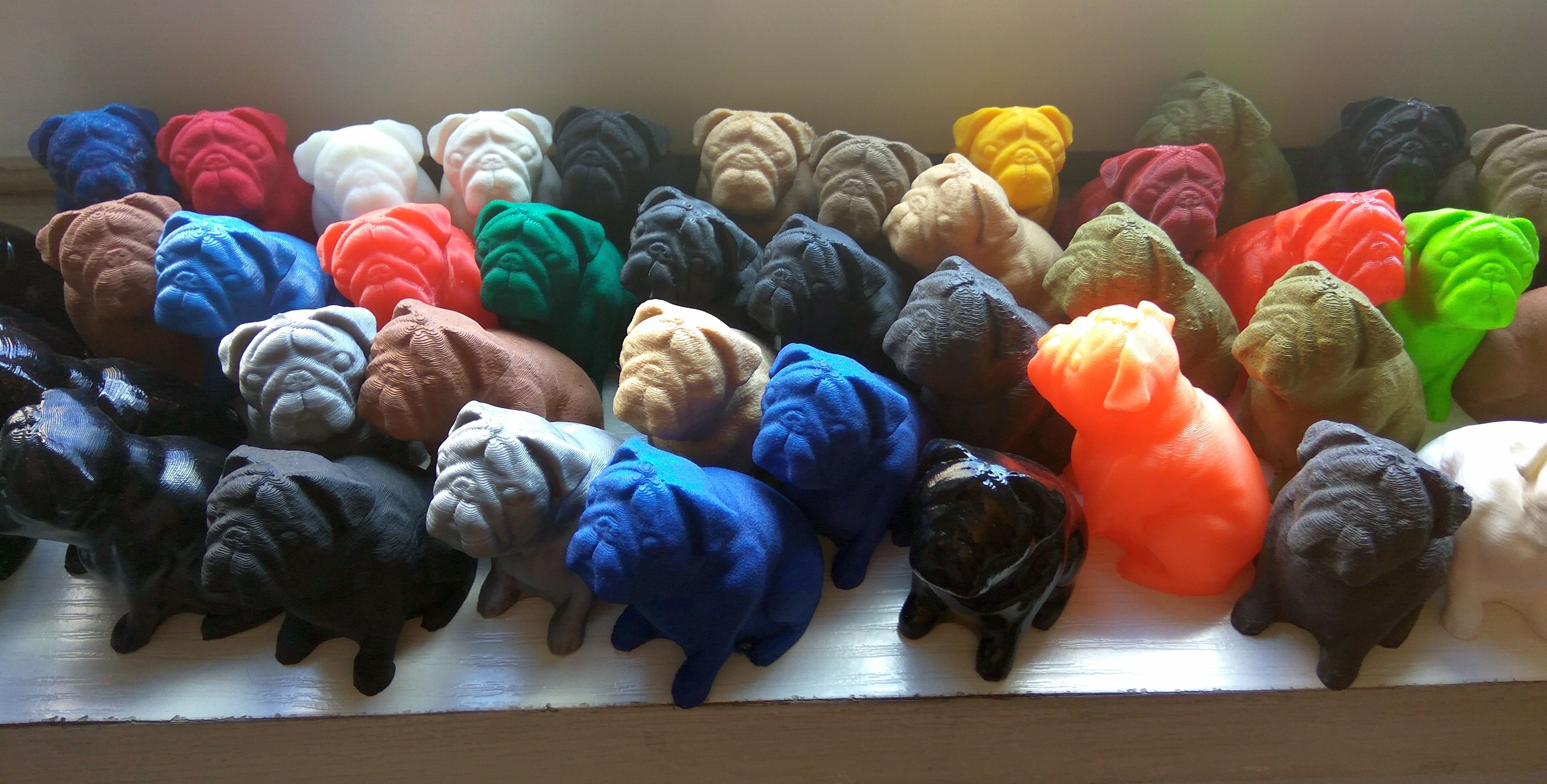 Josef Prusa's pug Buddy