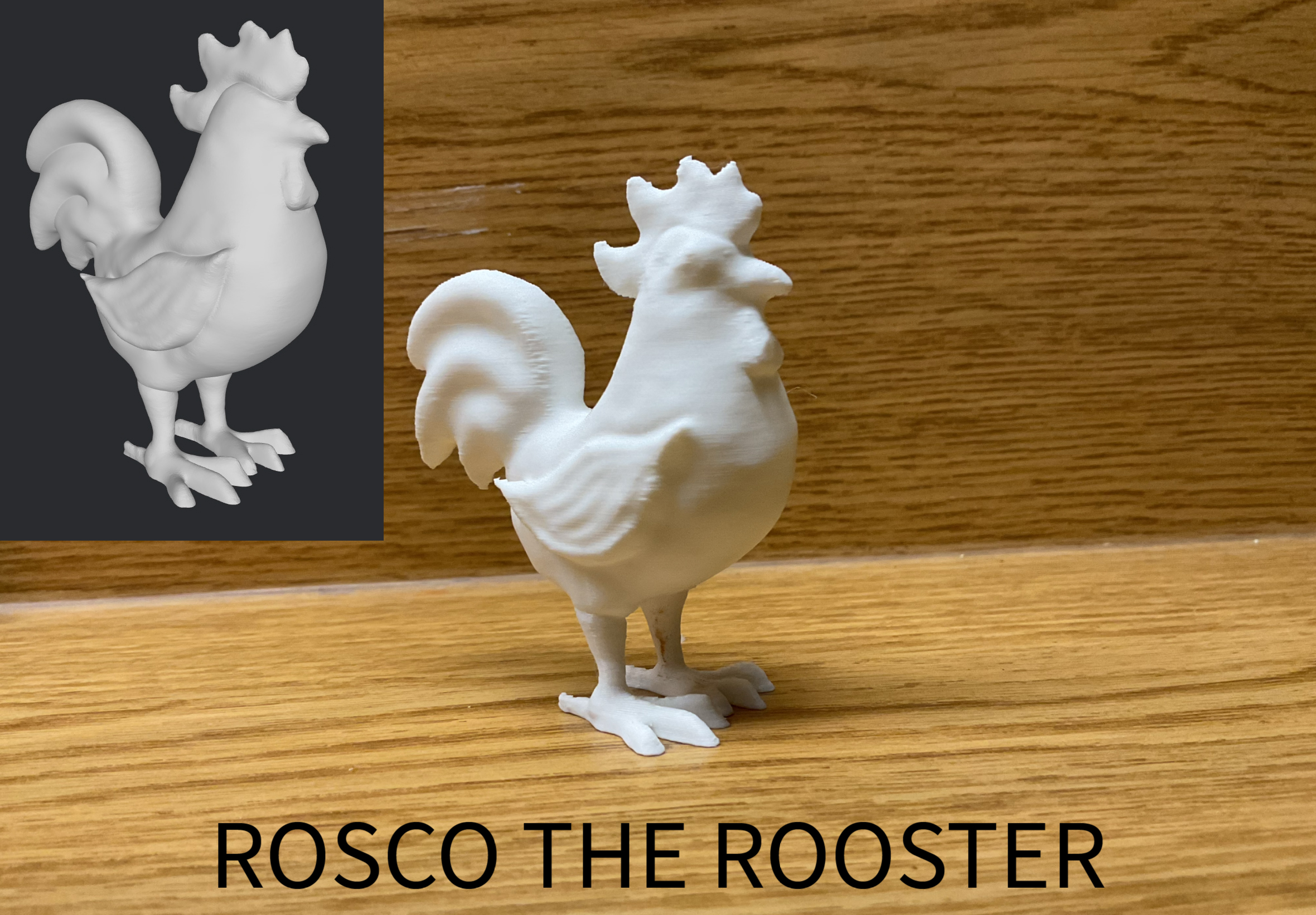 ROSCO THE ROOSTER