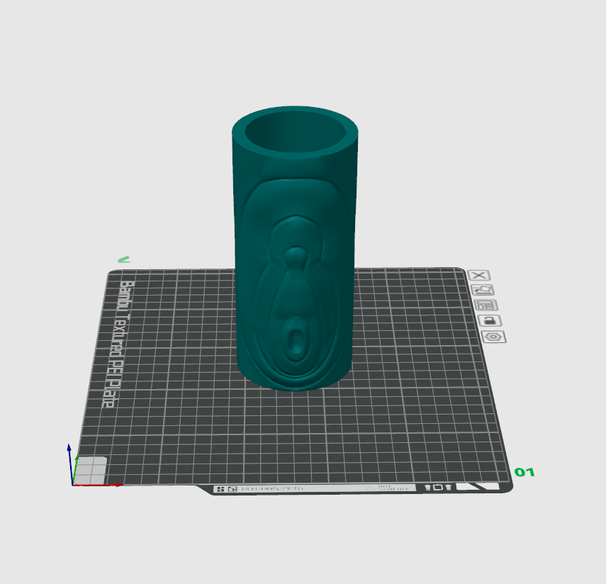 Vulvase