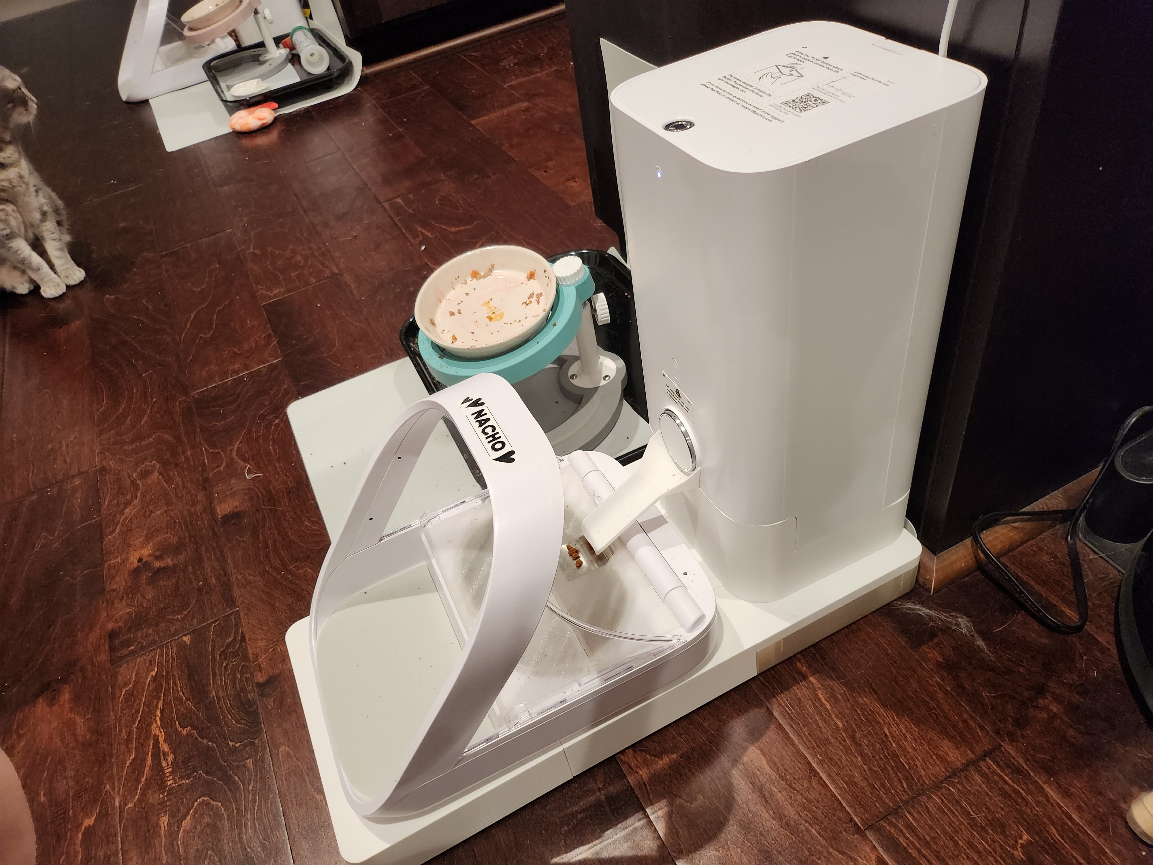 Automatic Microchip Pet Feeder