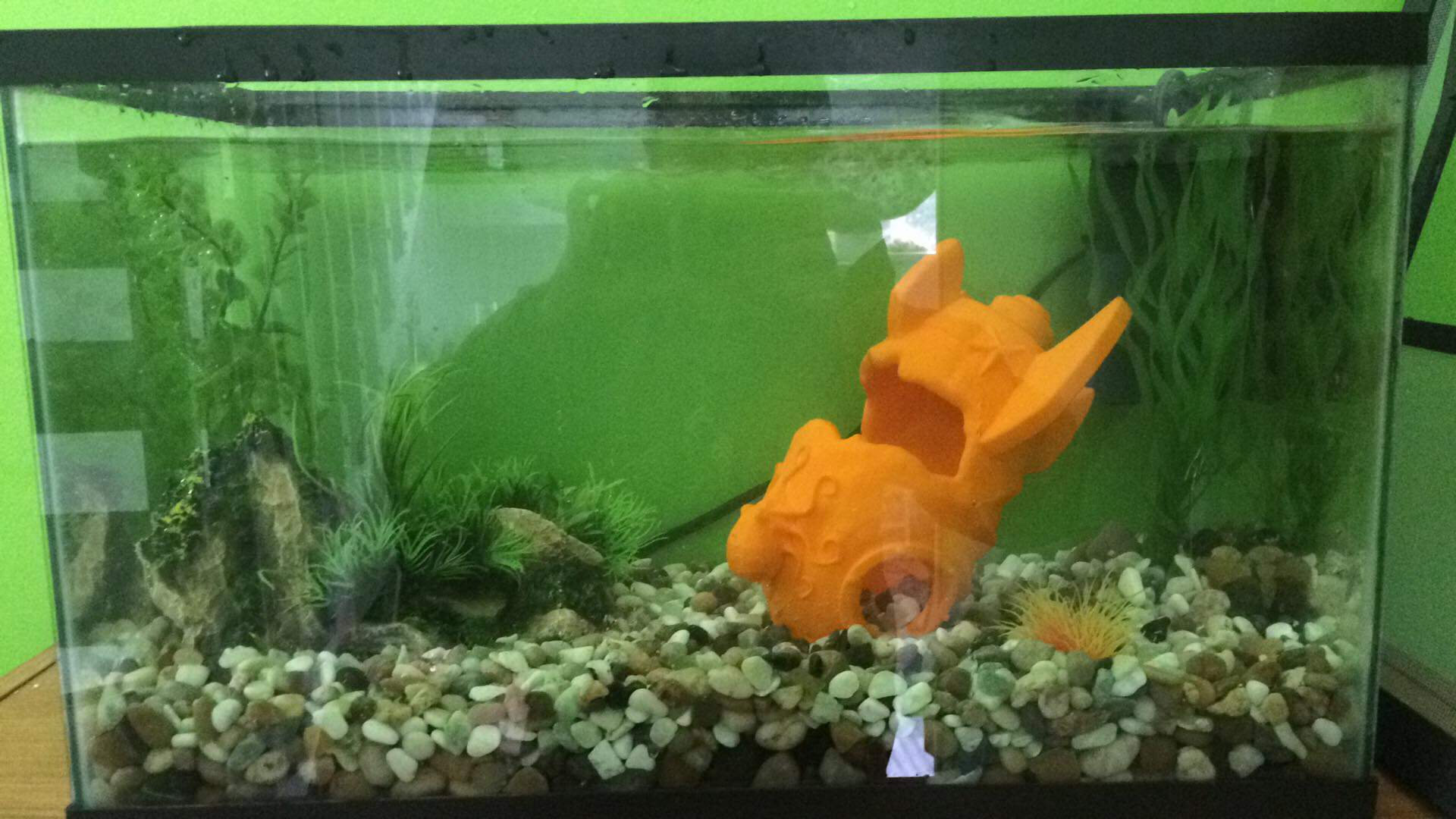 fishtank crashed rocket ship
