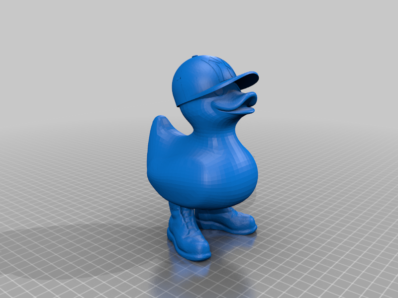 NYC Duck