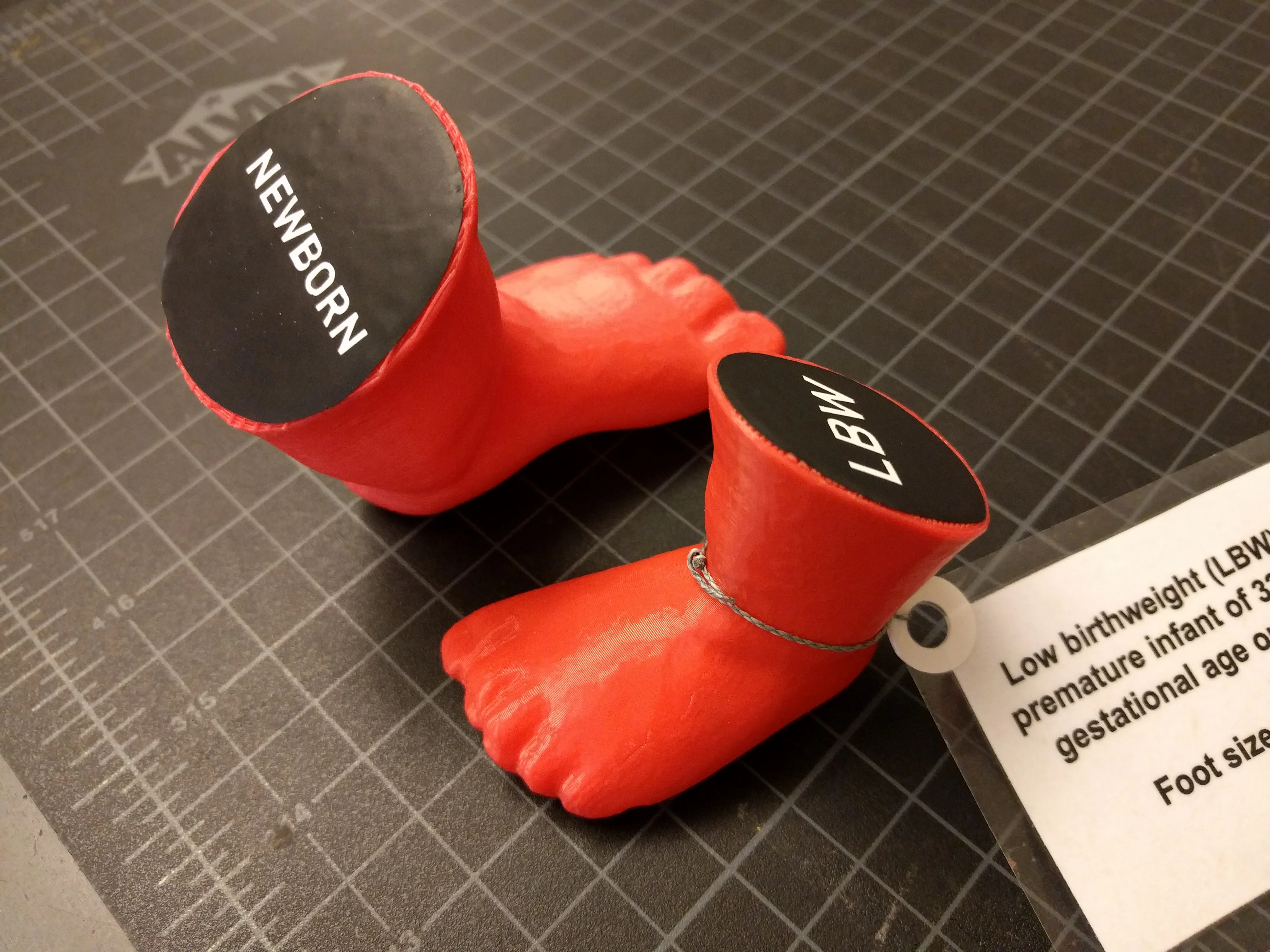 Infant Foot Models - three sizes