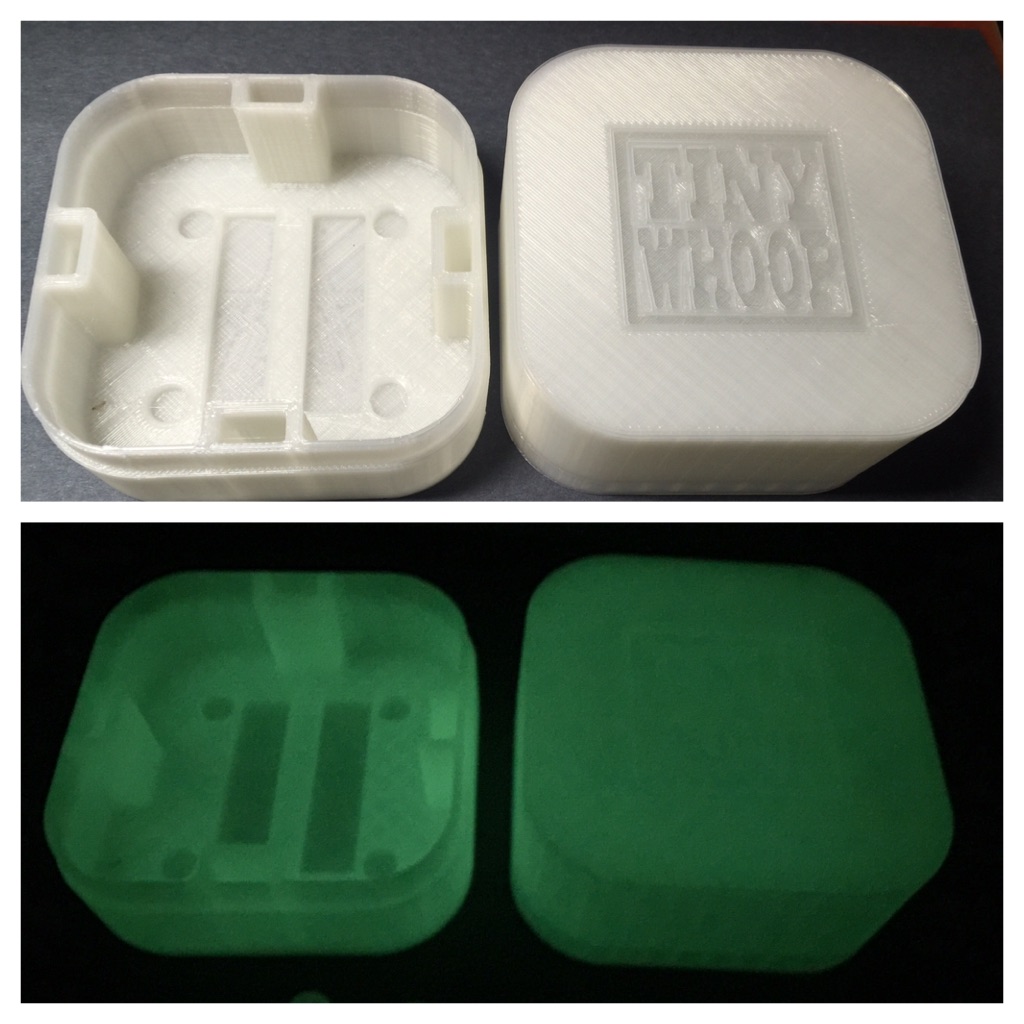 Tiny Whoop Logo Case (Inductrix)
