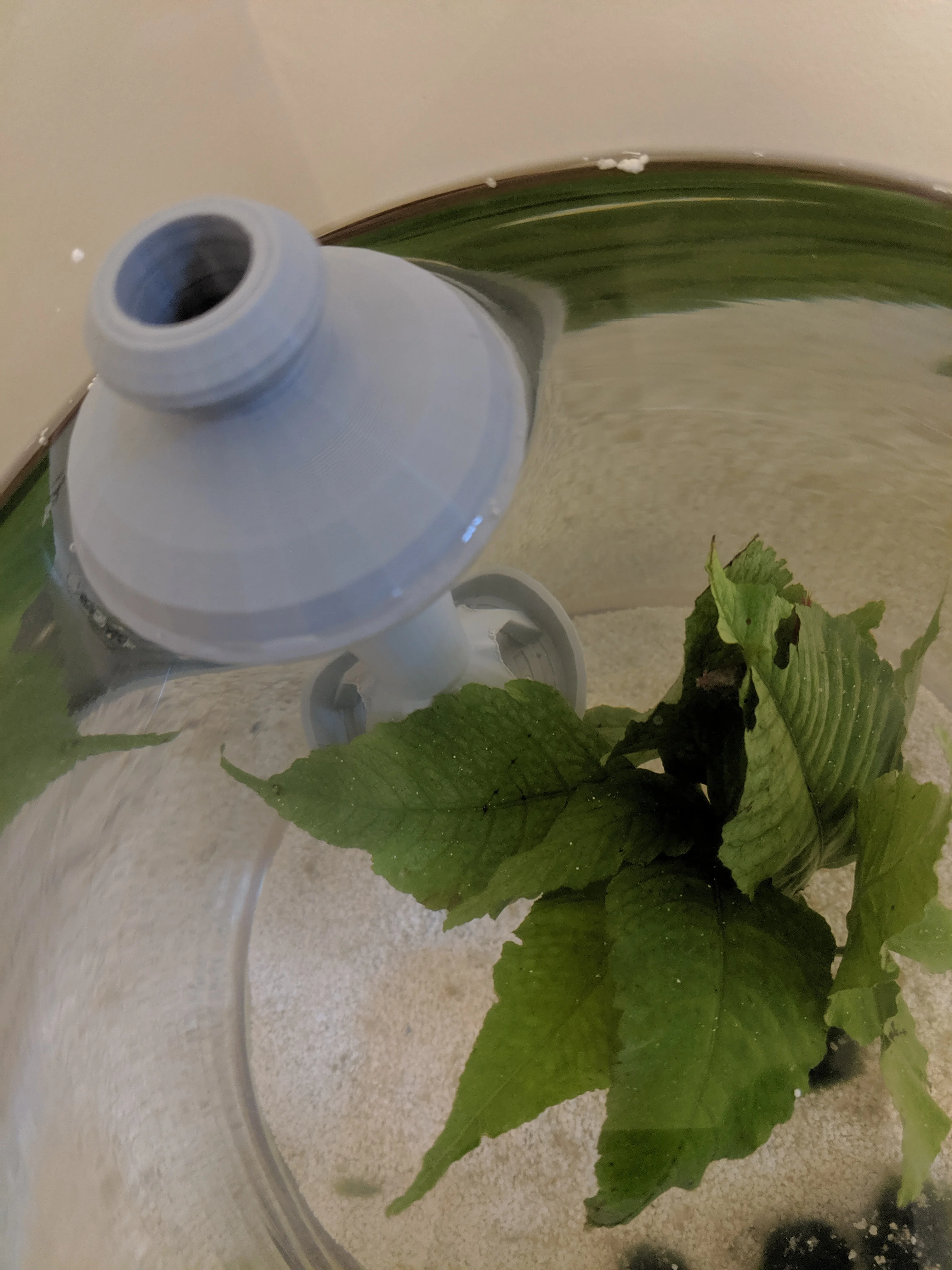 Floating Shrimp Feeding Tray