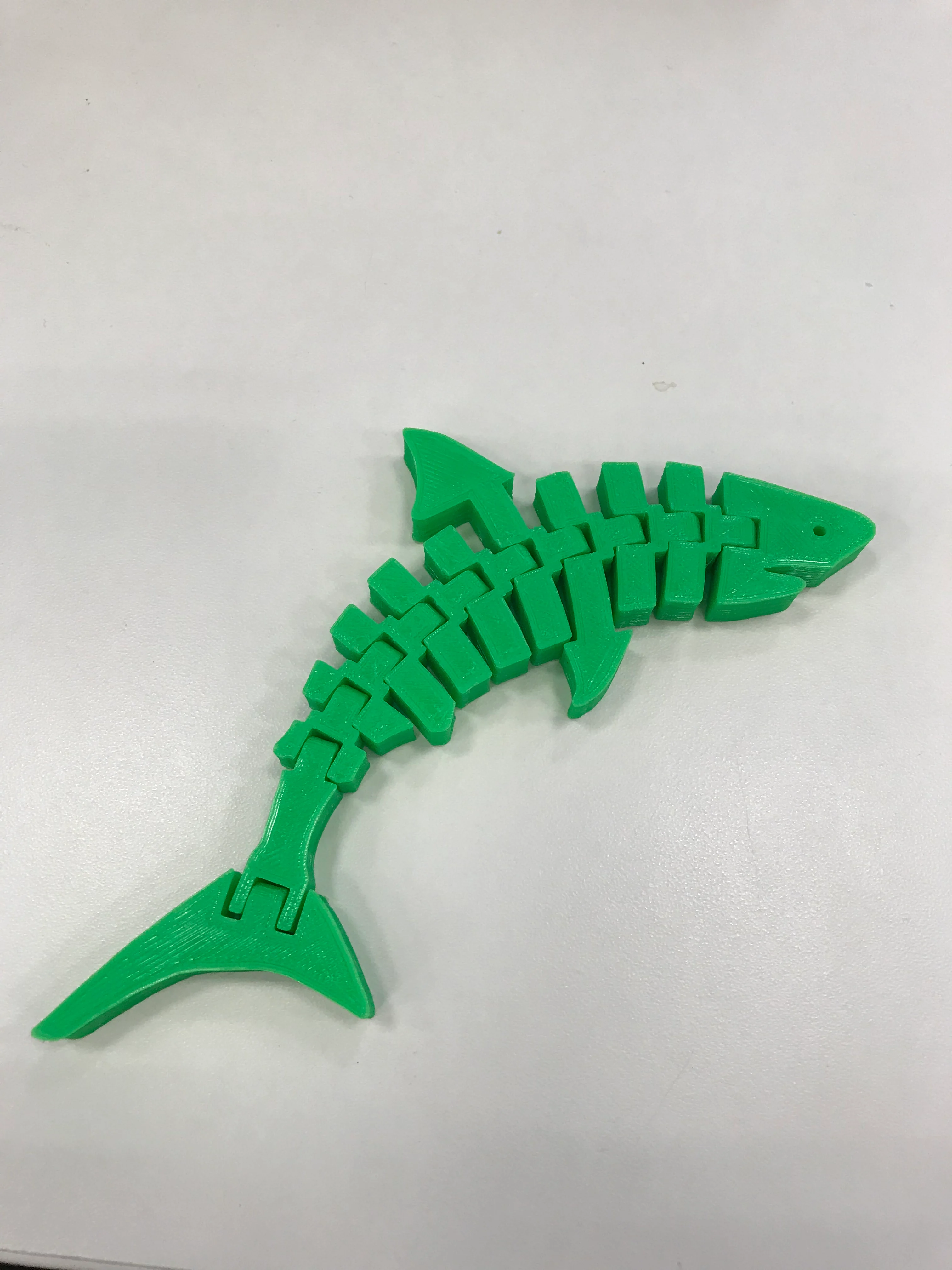 clean flexi shark