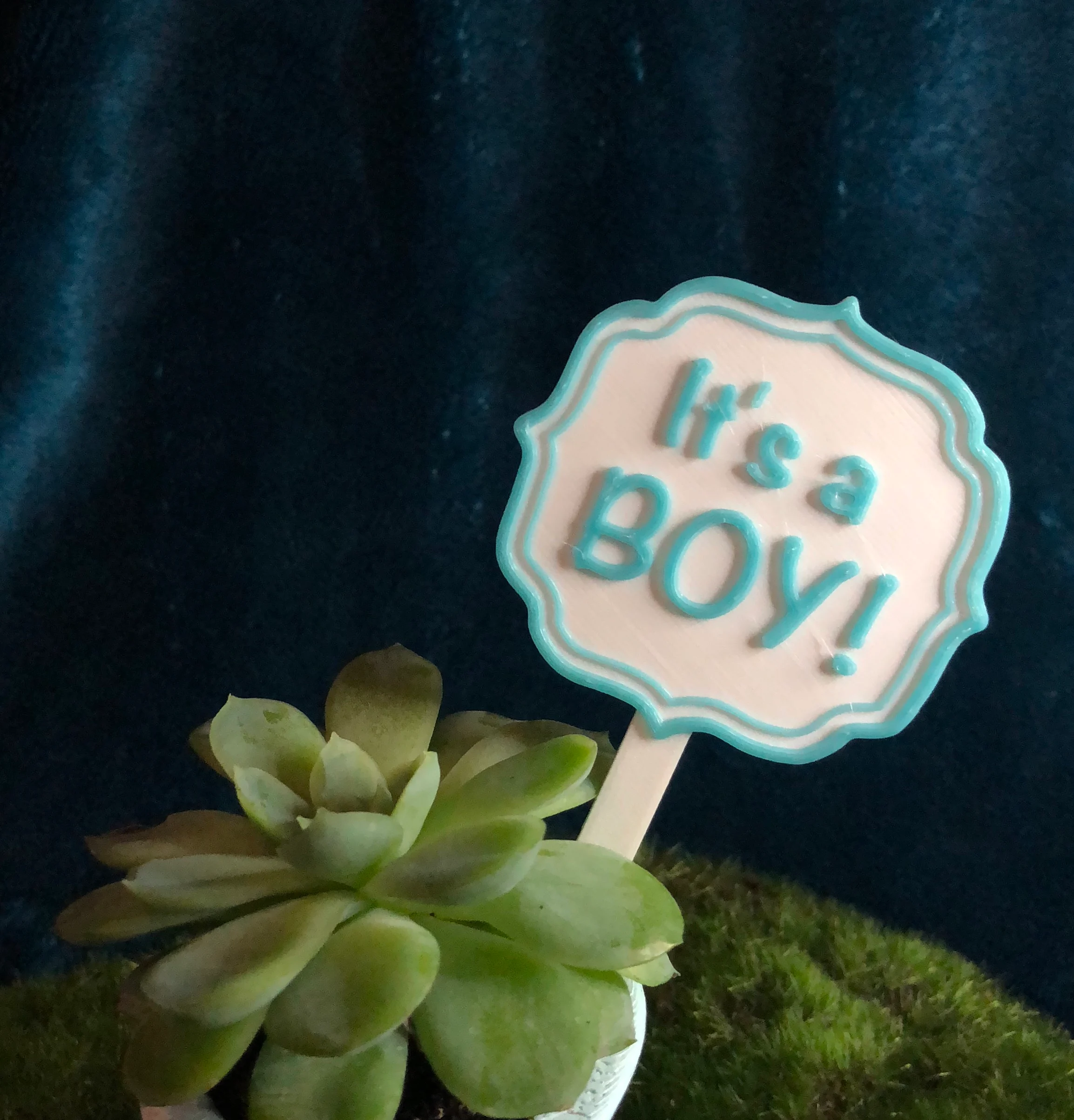 It's a Boy! It's a Girl SIGN