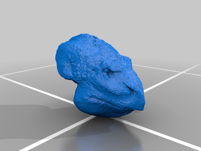 DragonMage head