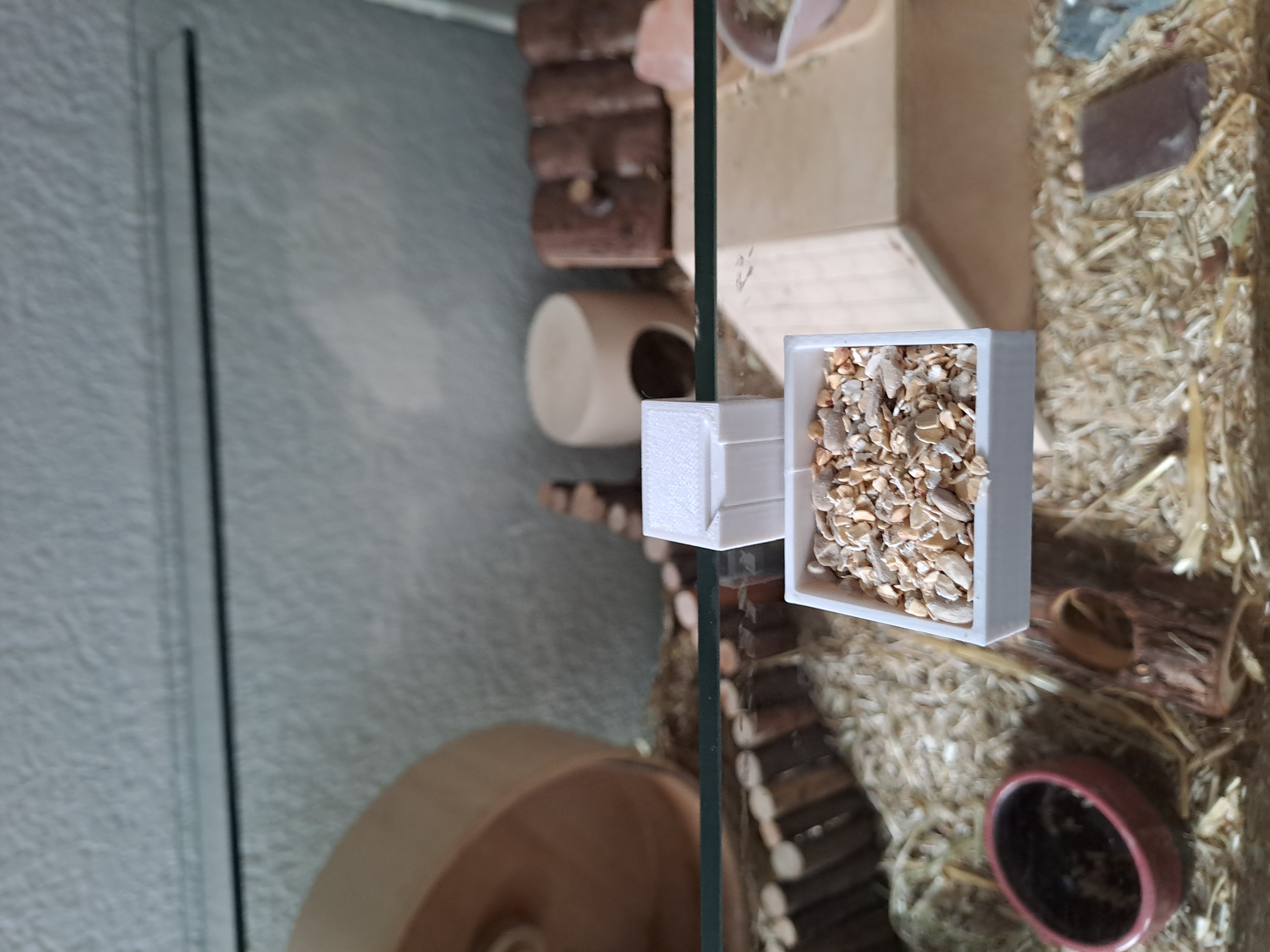 Hamster treat holder