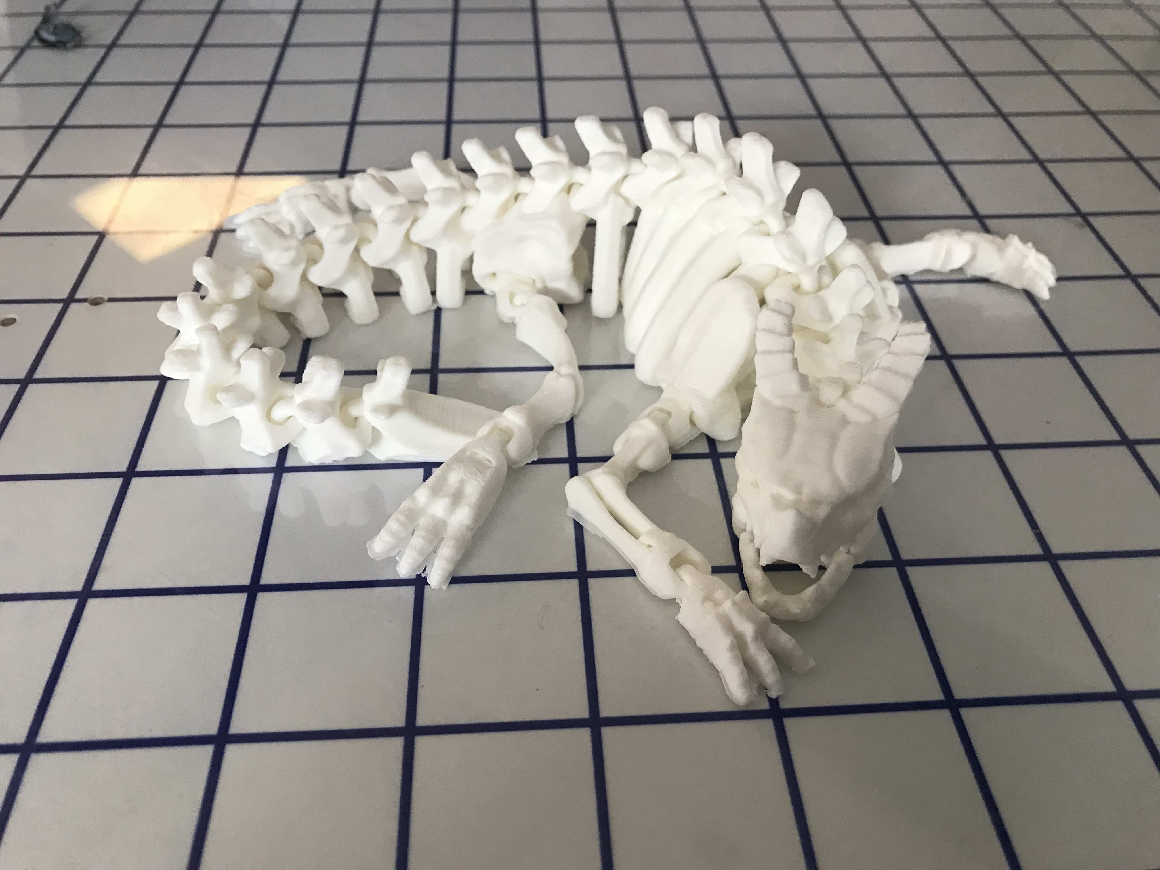 Articulated Skeleton Dragon