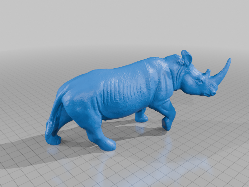 Rhinoceros
