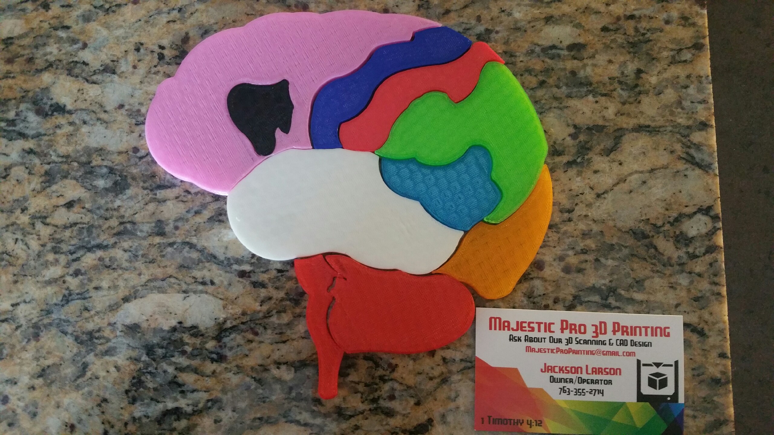 Brain Puzzle (By Lobe)