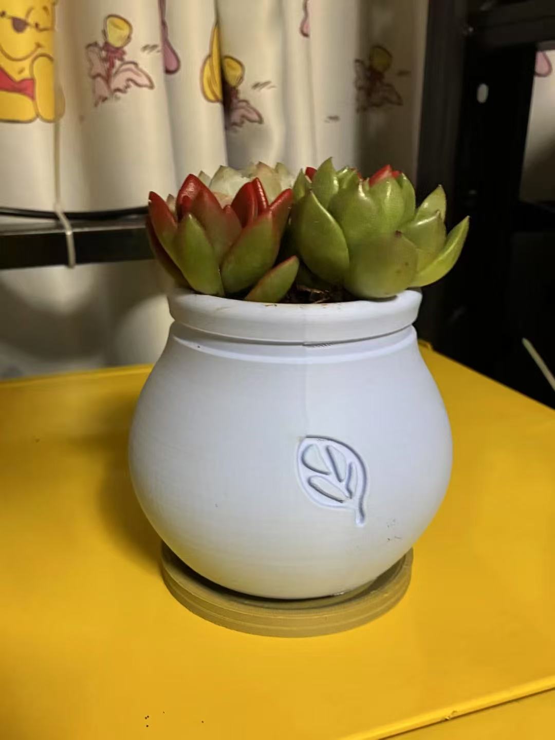 LeafPod – Smooth Finish Succulent Planter 极简圆润多肉花盆