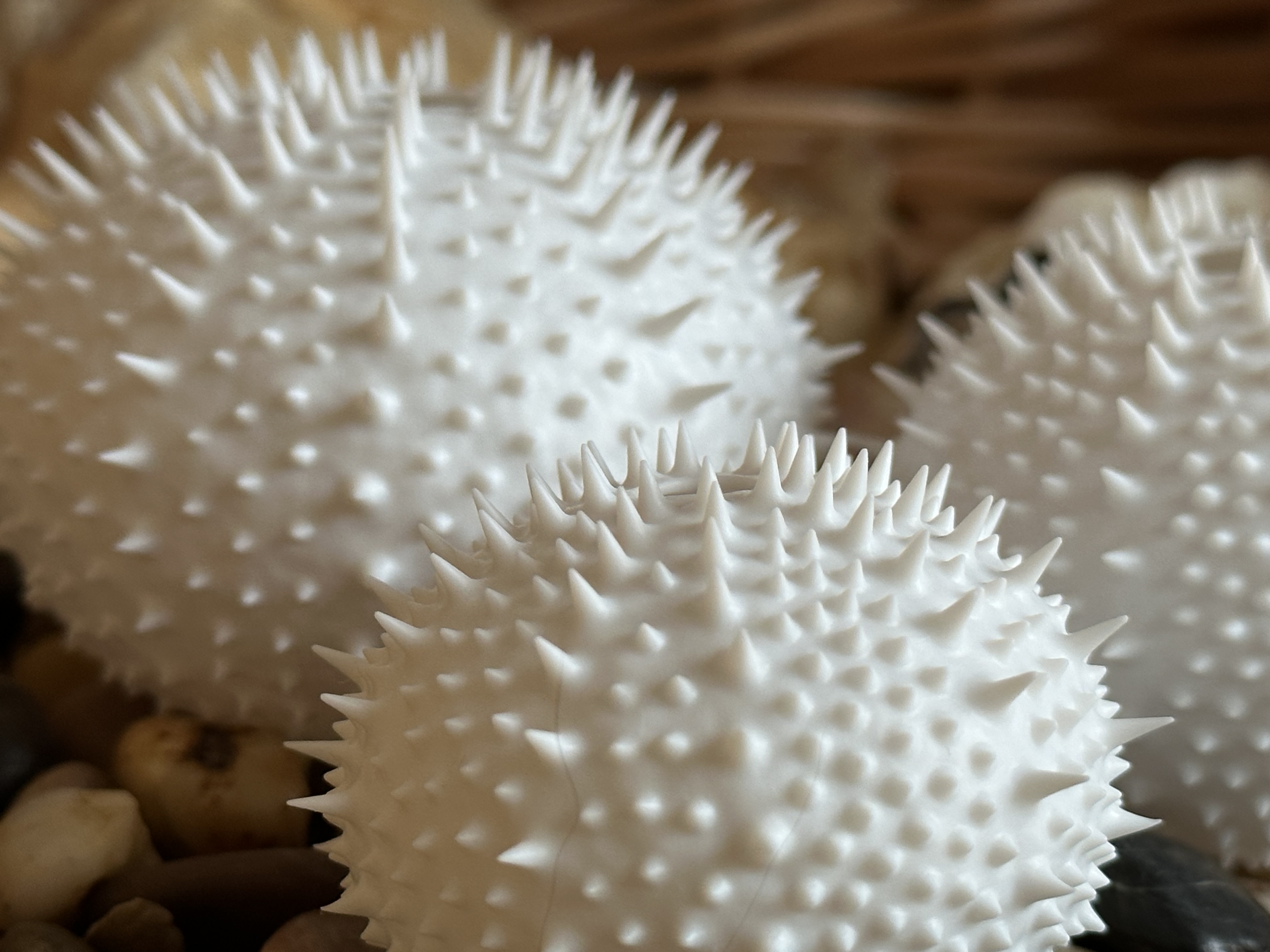 Sea Urchin Shell (Spiky)