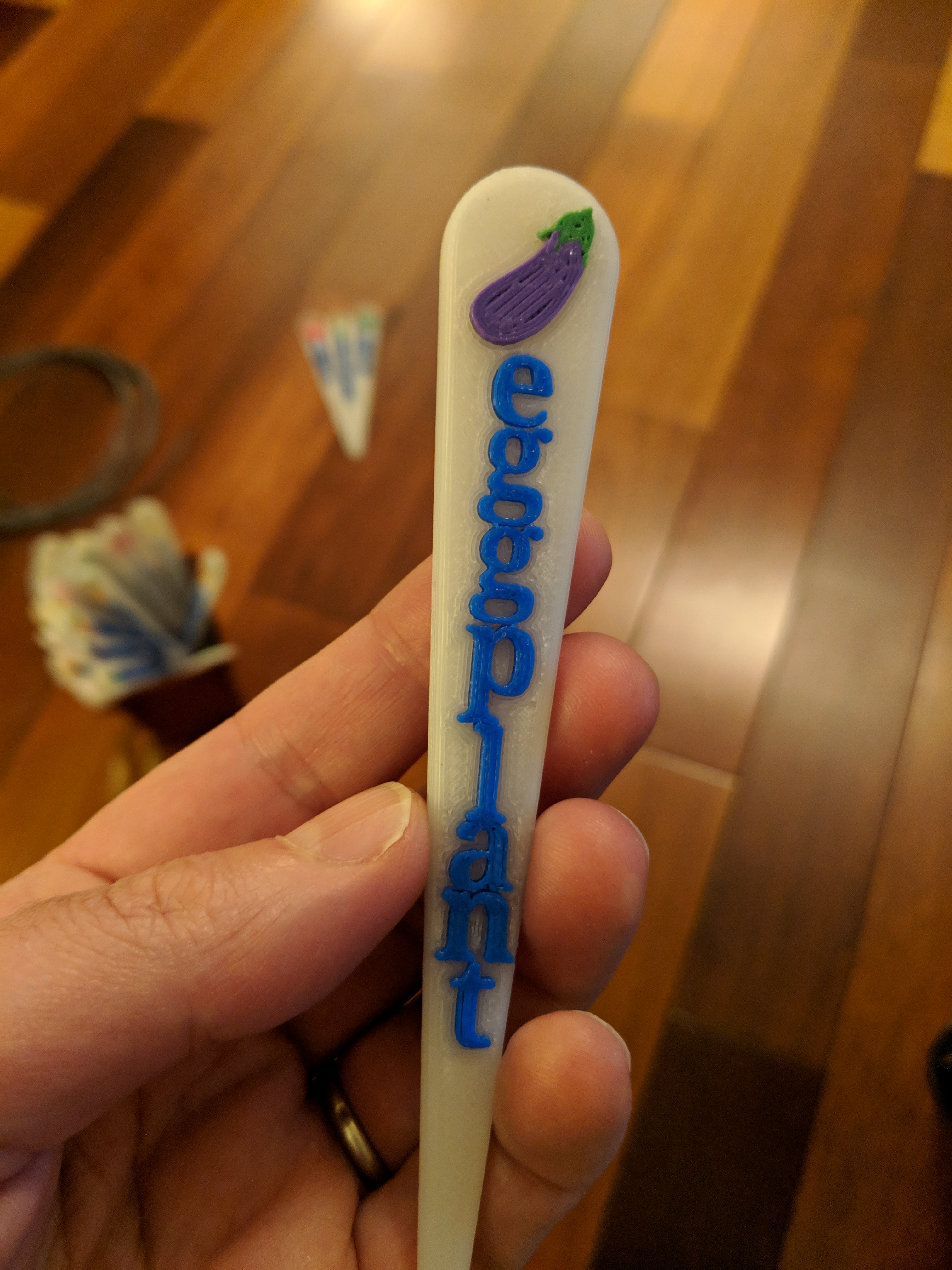 Eggplant Garden Marker