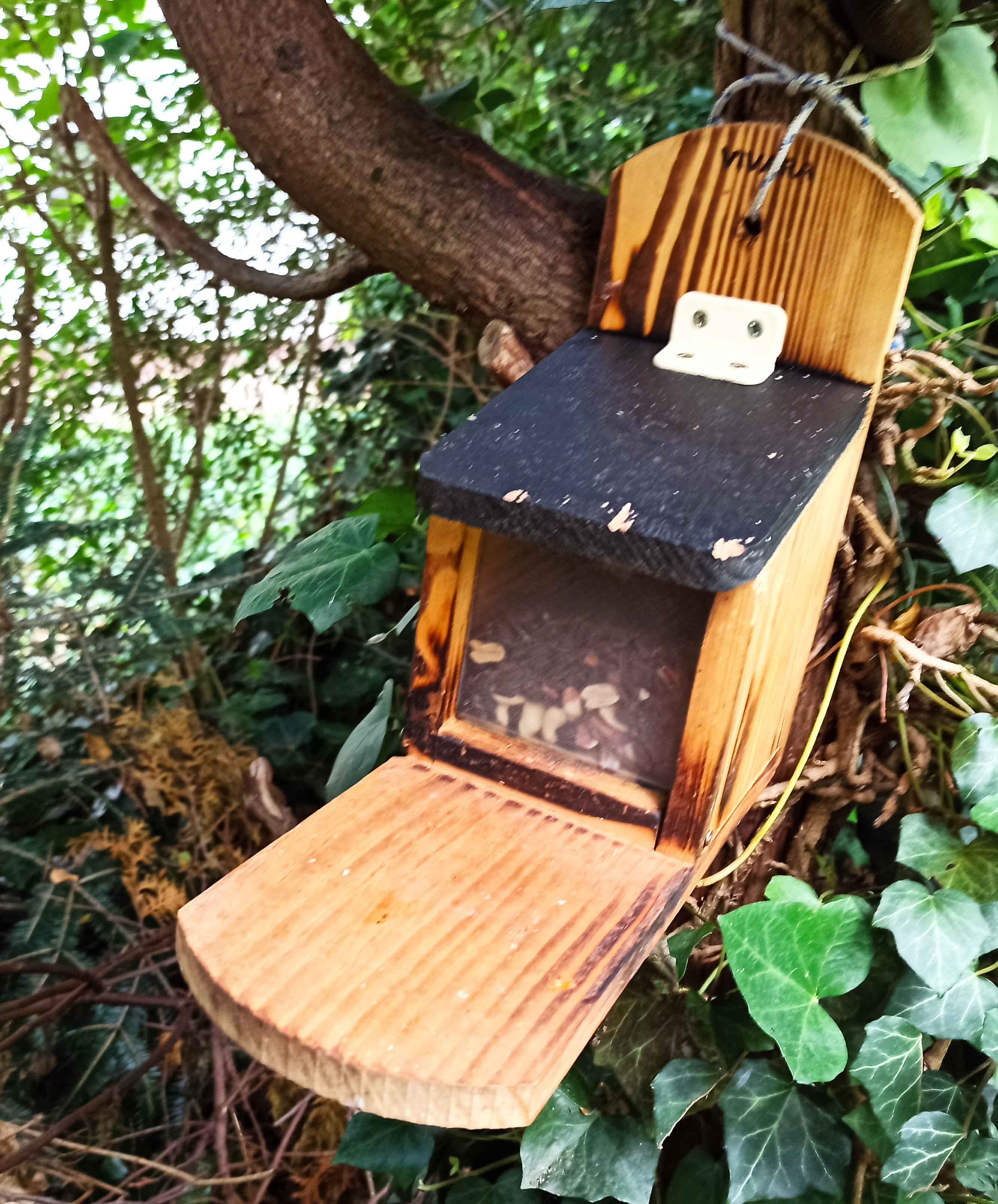 Scheibe für Vivara Eichhörnchen-Futterhaus