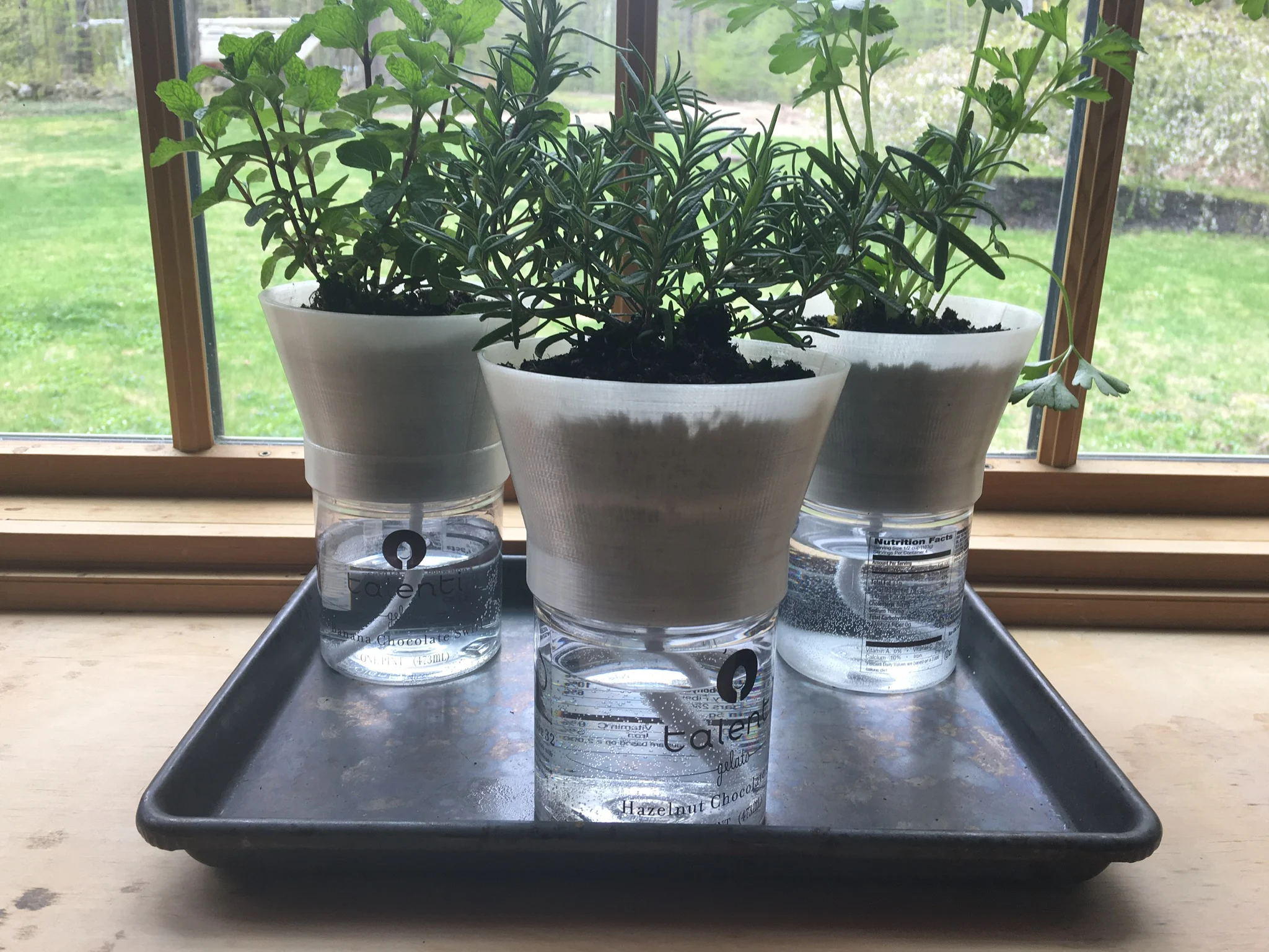 Self-watering Herb Planter