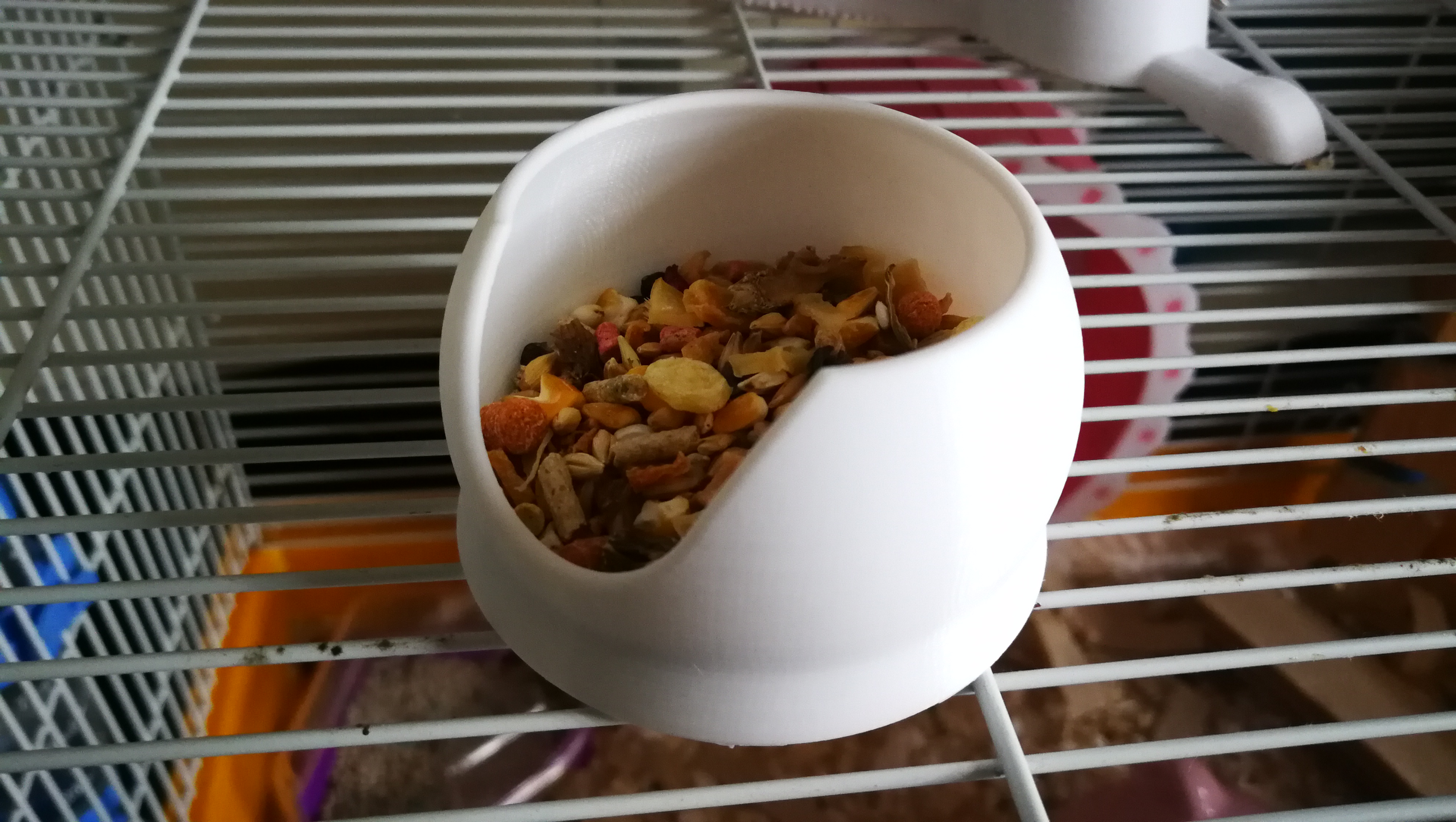 HamsterFeedingCase