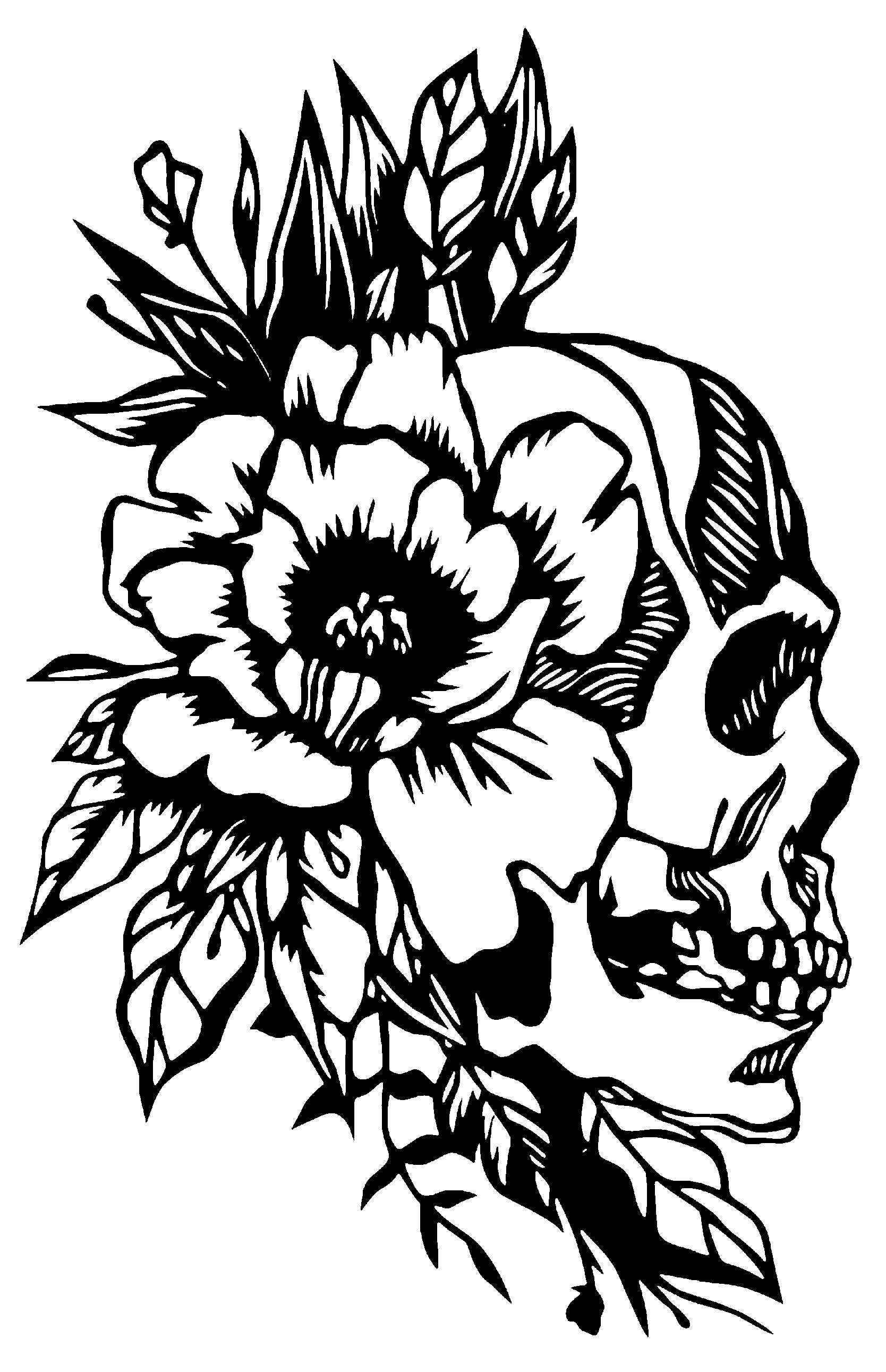 2D Skull 2