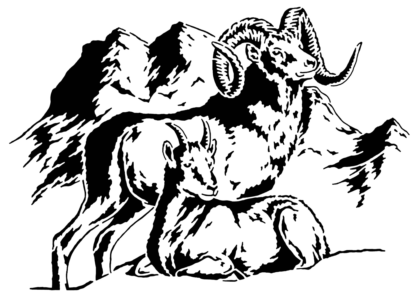 Bighorn sheep stencil