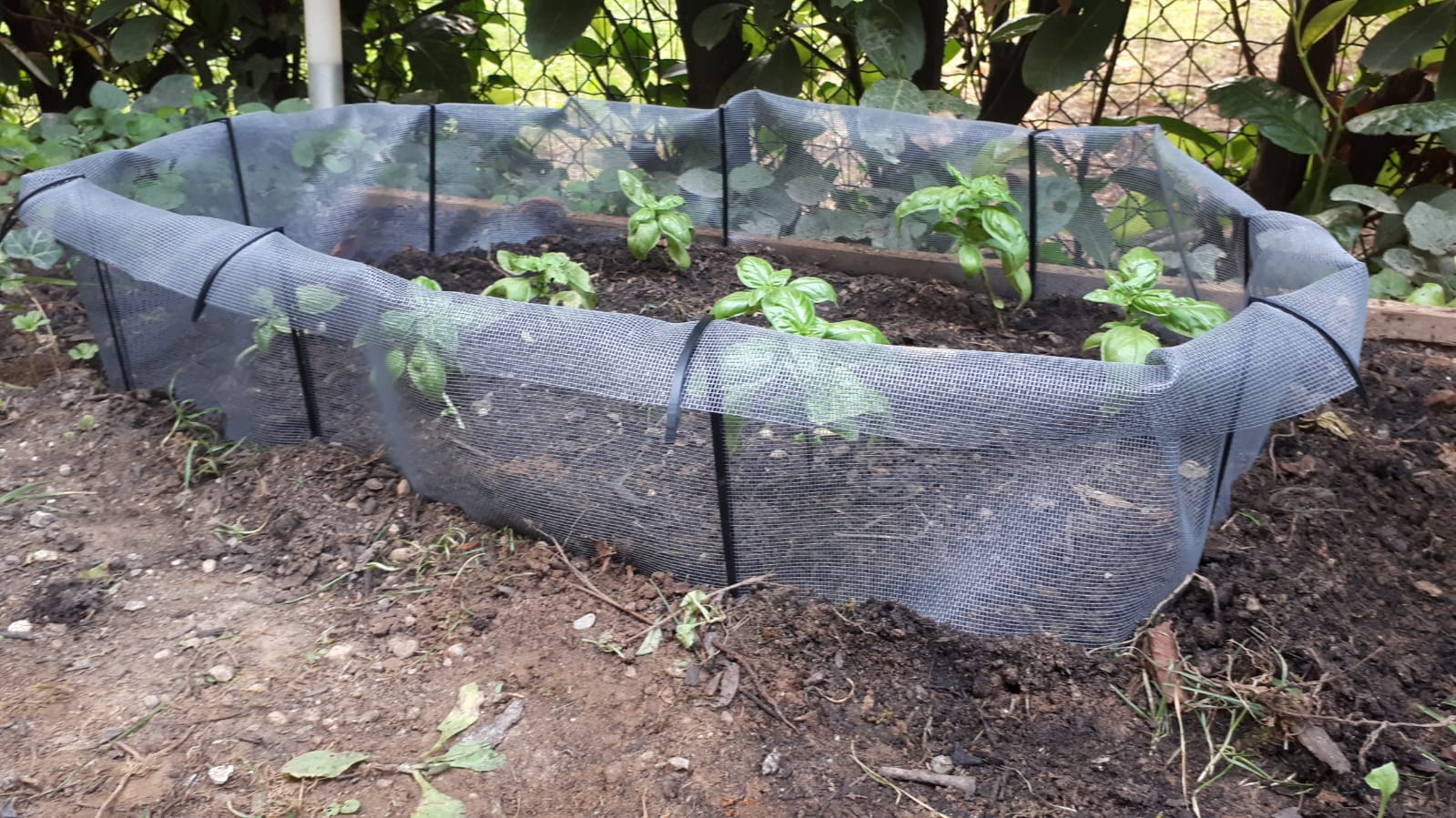 Slug Fence