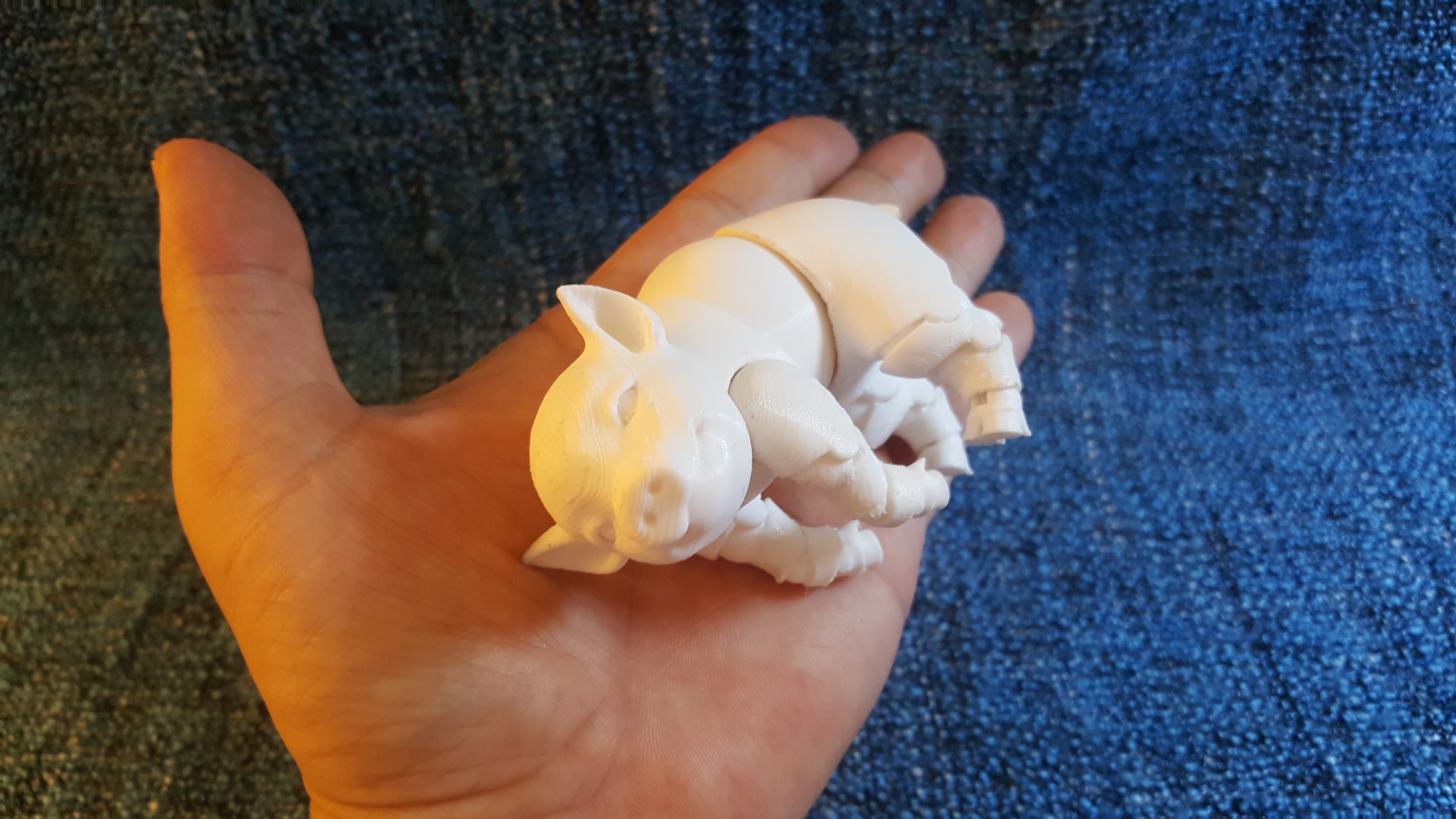 Lucky pig
