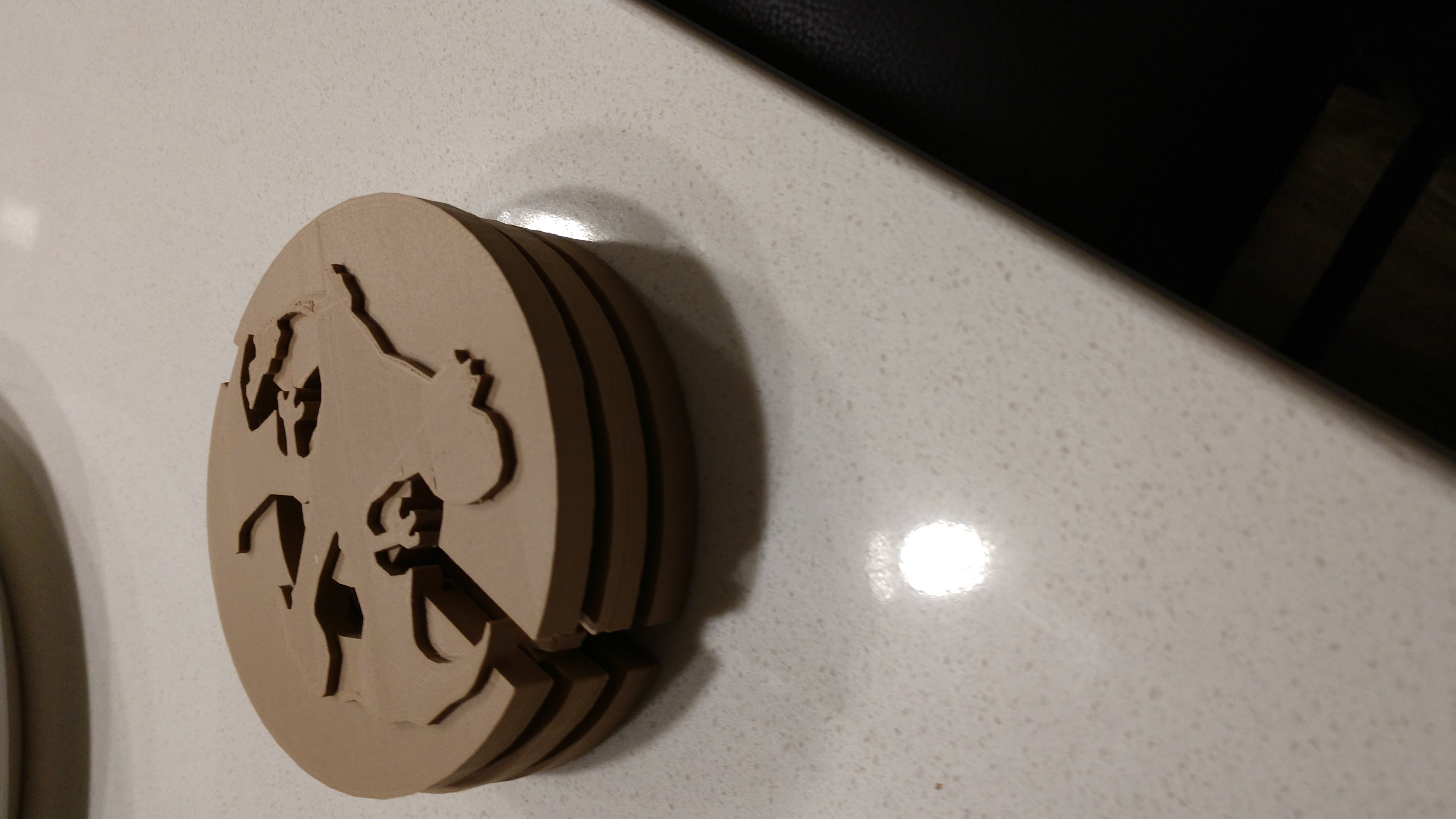 Pokemon Coasters