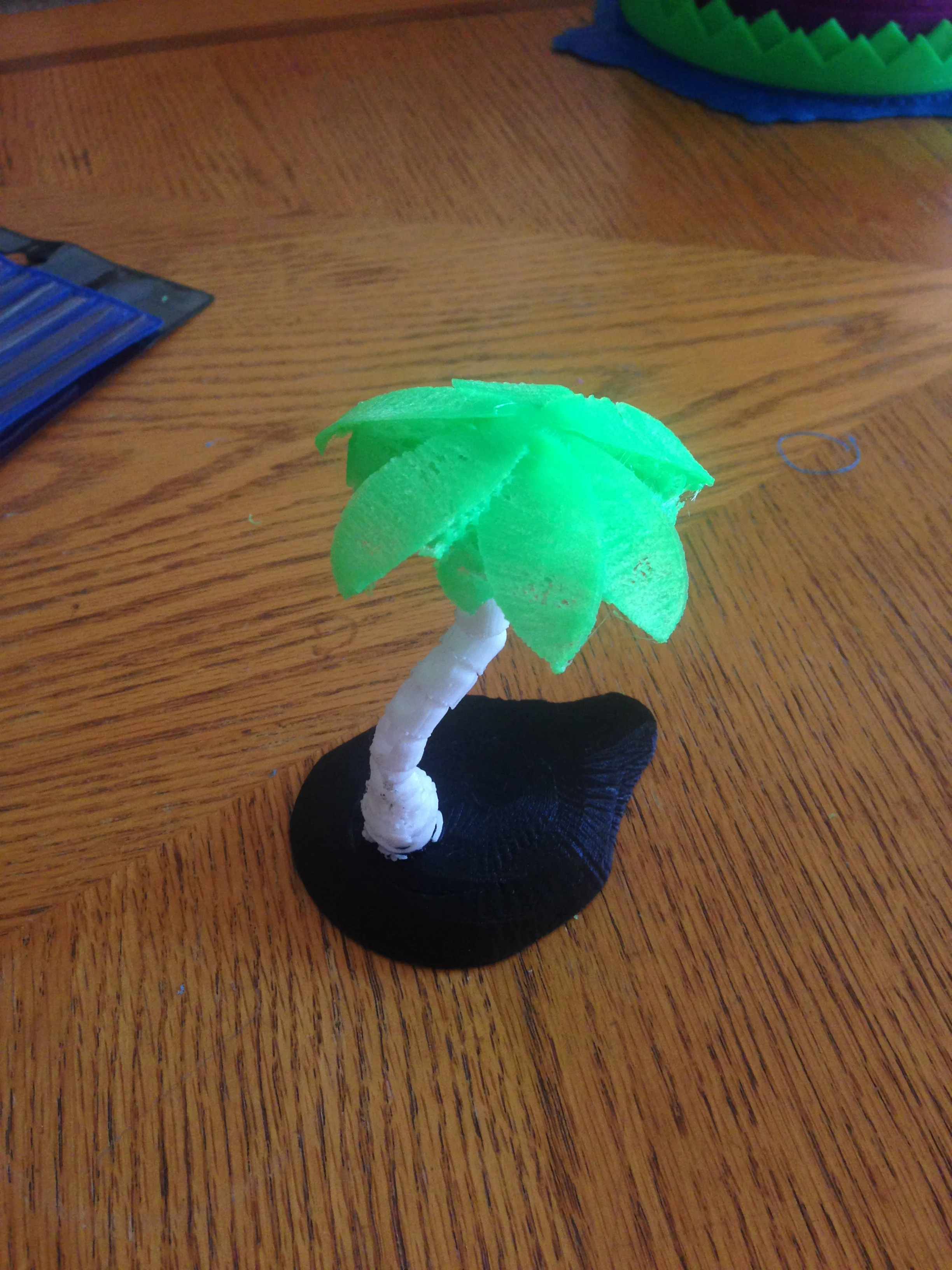 palm tree island