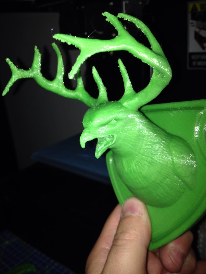 Crazy Bird Trophy