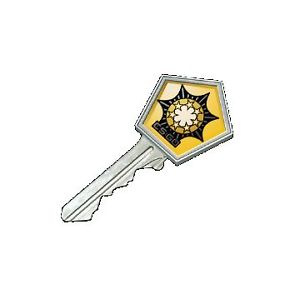 Counter Strike-GO key