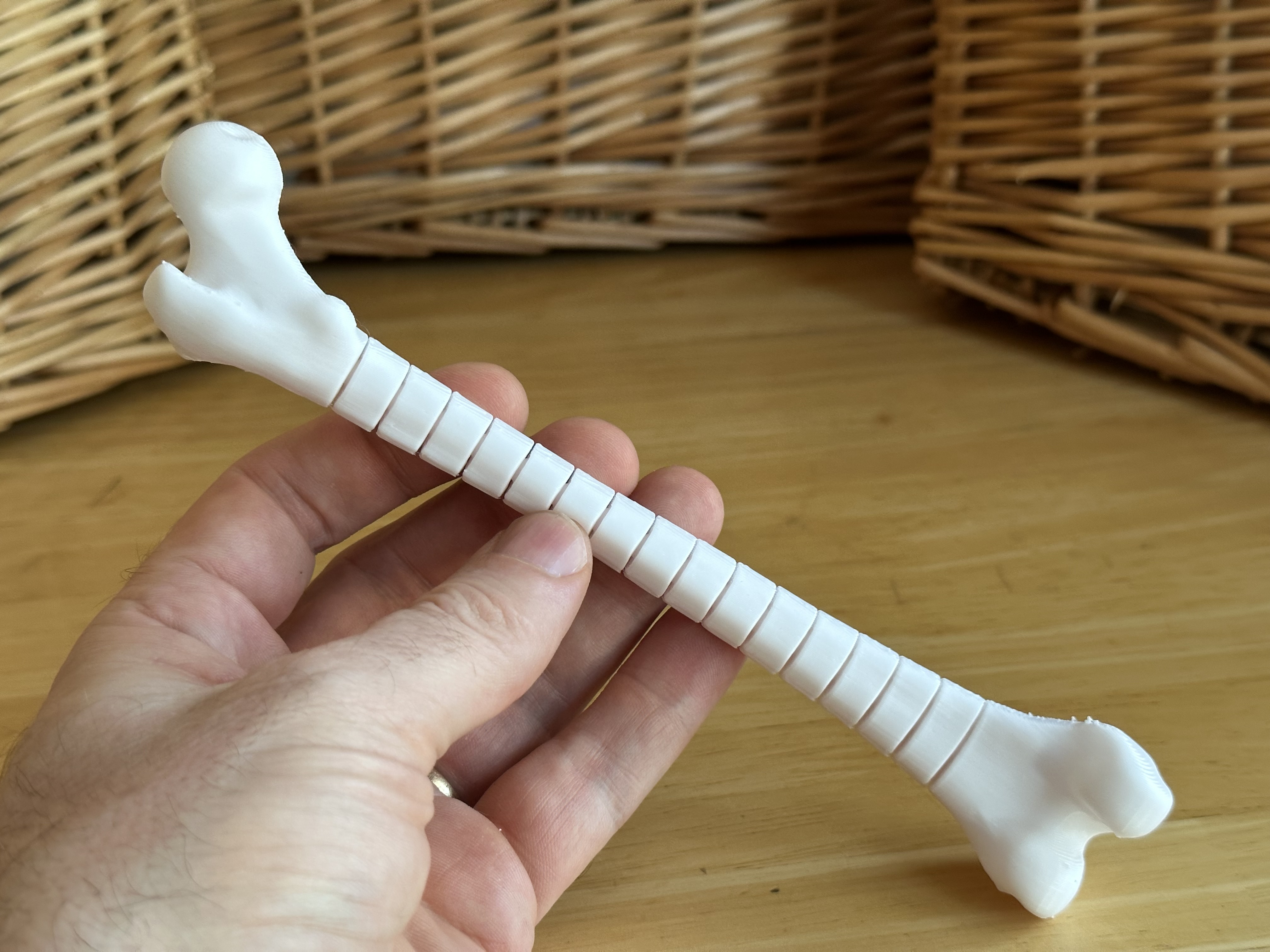 Fidget Femur