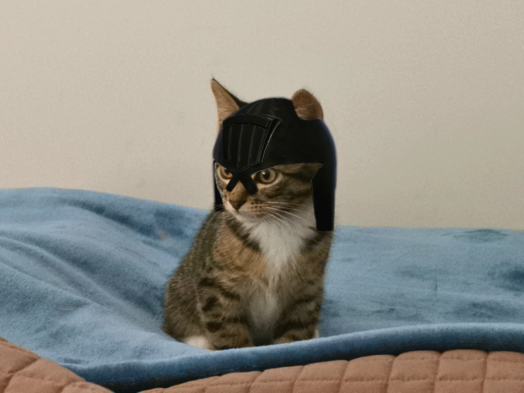 PUSS DREDD!!! Judge Dredd Helmet For Your Cat!