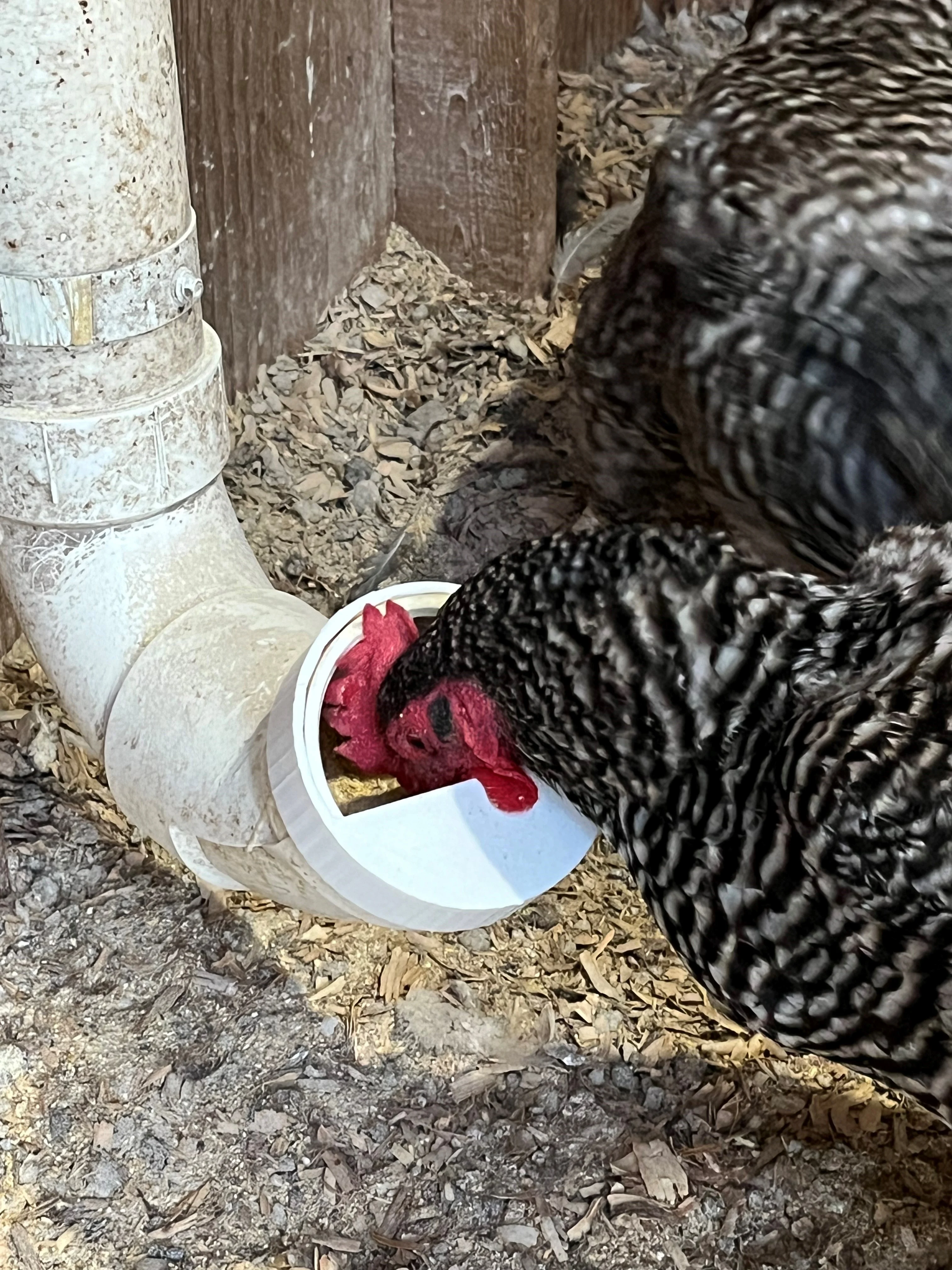 PVC Chicken Feeder Stop