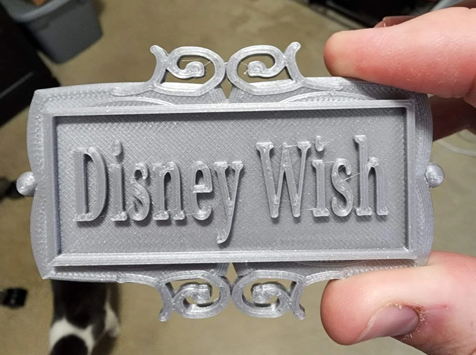Disney Wish Door Plate