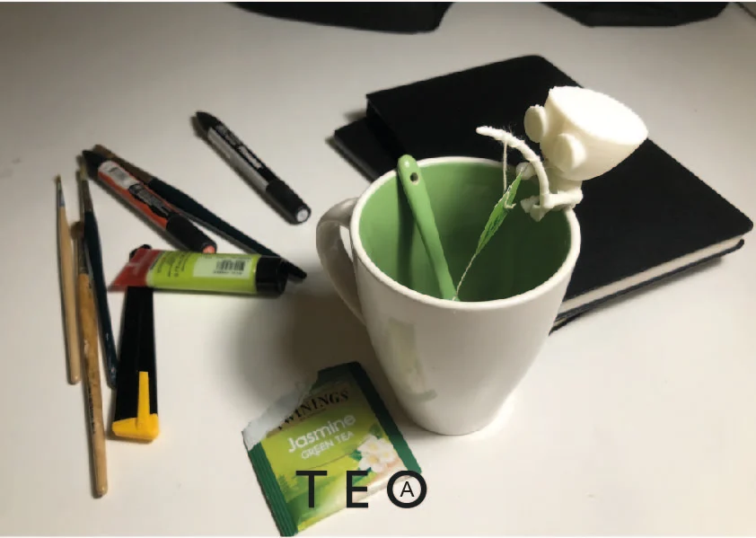 Teo(a)