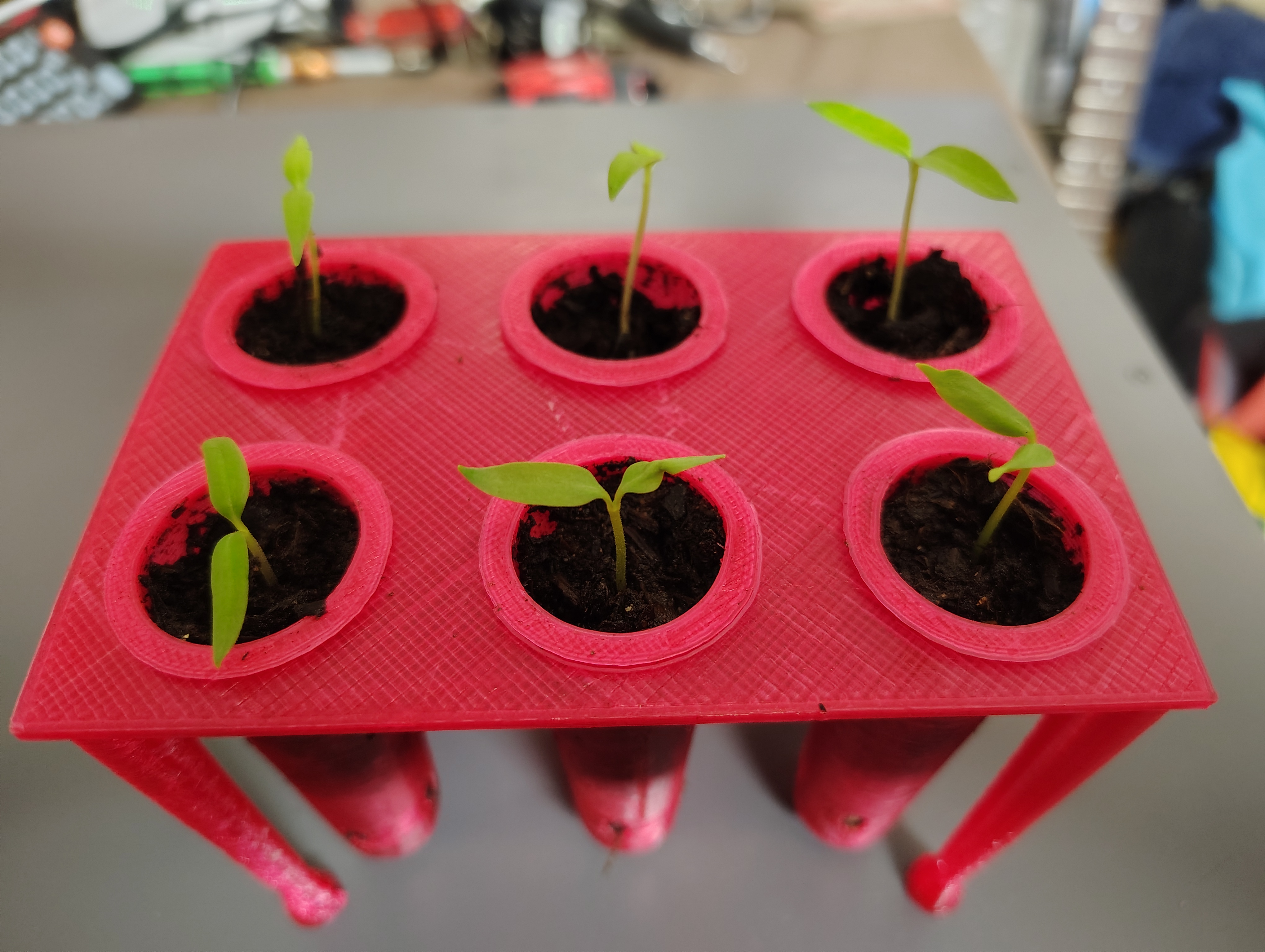 Mini seed starter