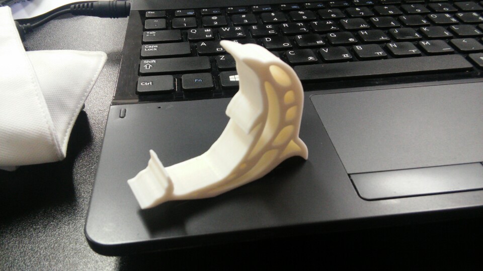 dolphin phone holder