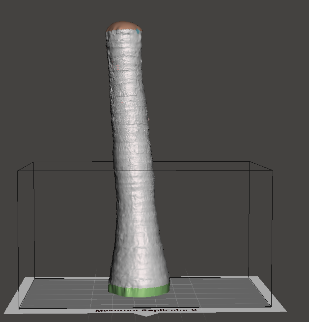 Another Palmtree (trunk only)